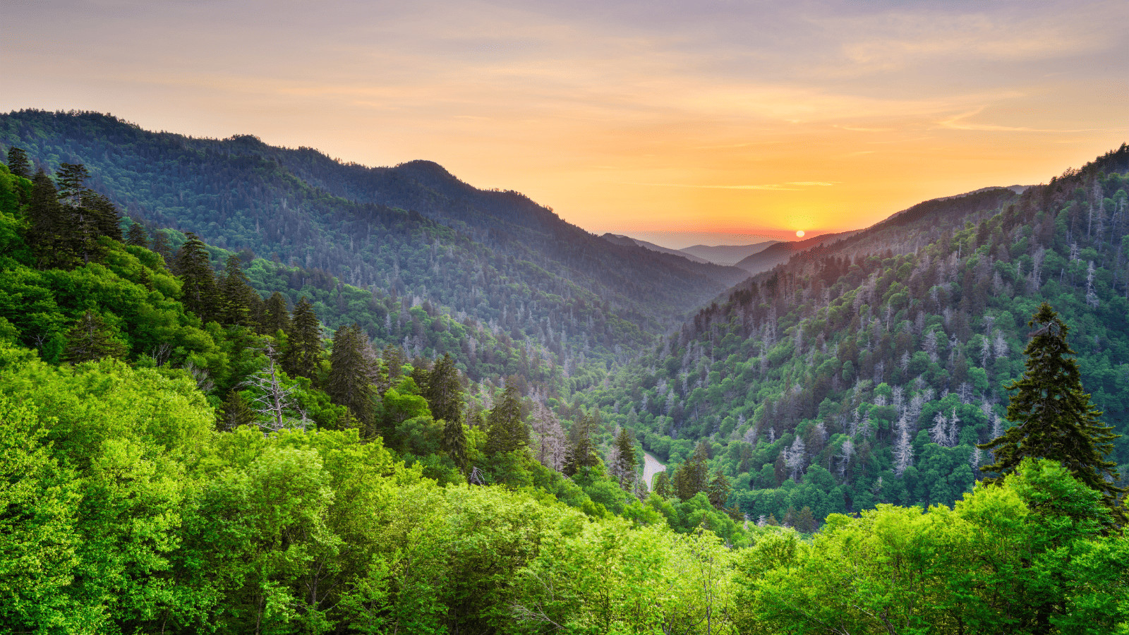 13 of the Most Visited Tourist Spots in America 12 Great Smoky Mountains National Park