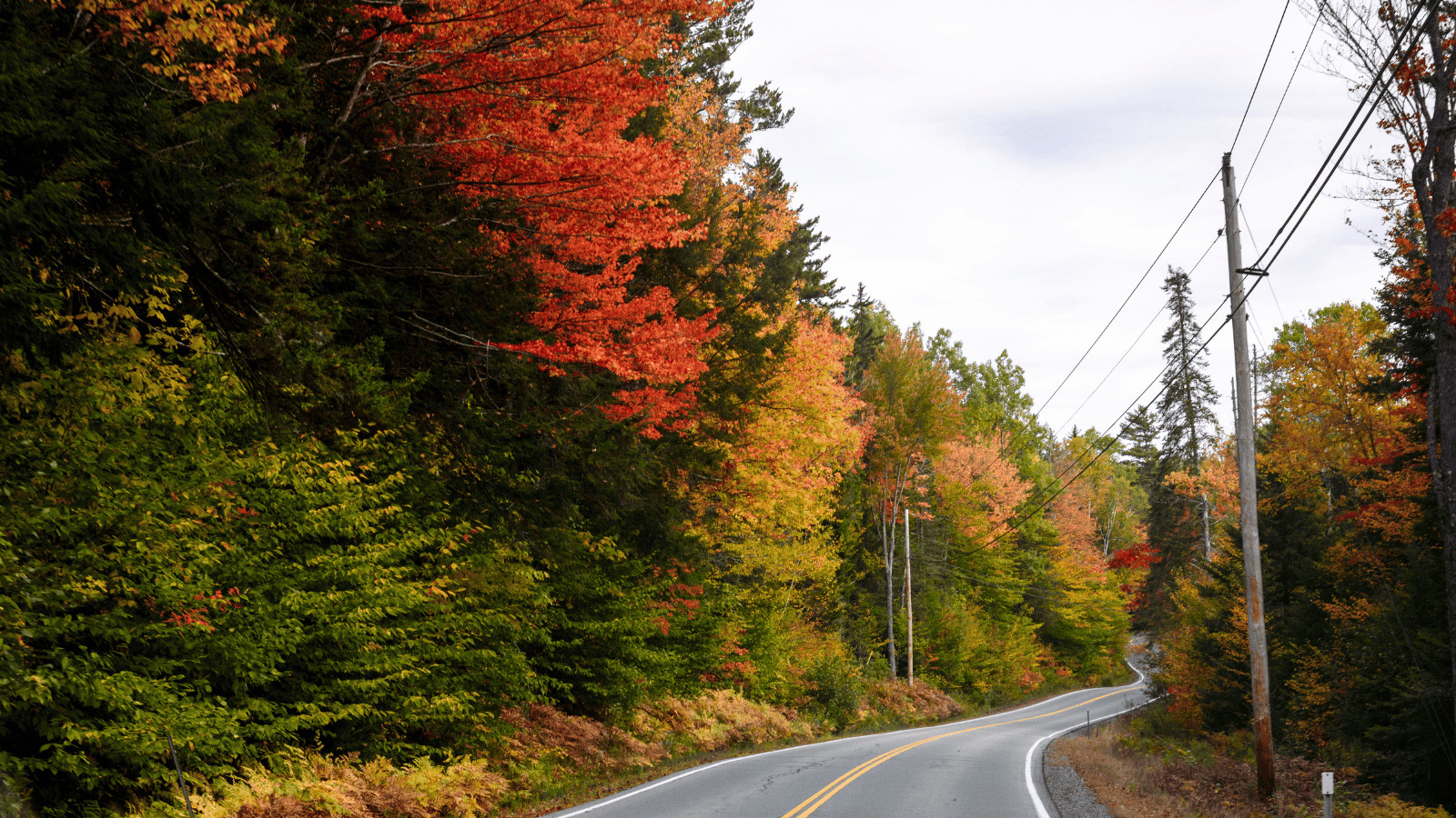 12 Unmissable US Cities for Breathtaking Fall Foliage 11 Green Mountain Byway