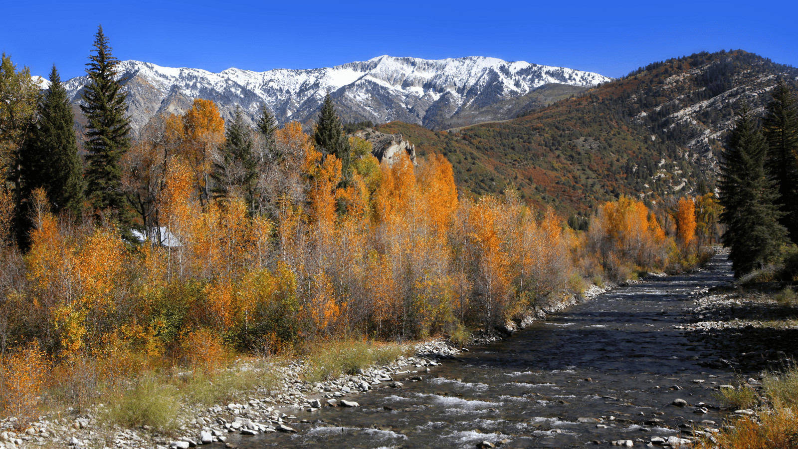 The 10 Best US Destinations for Riding eBikes 3 Gunnison, Colorado