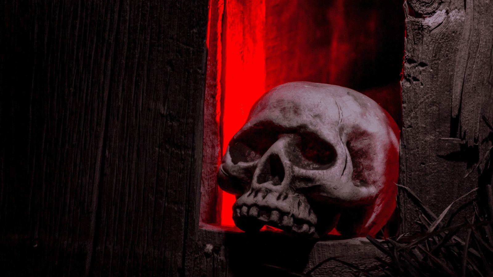 10 Bizarre Tours You Won't Believe Actually Exist 10 Haunted House