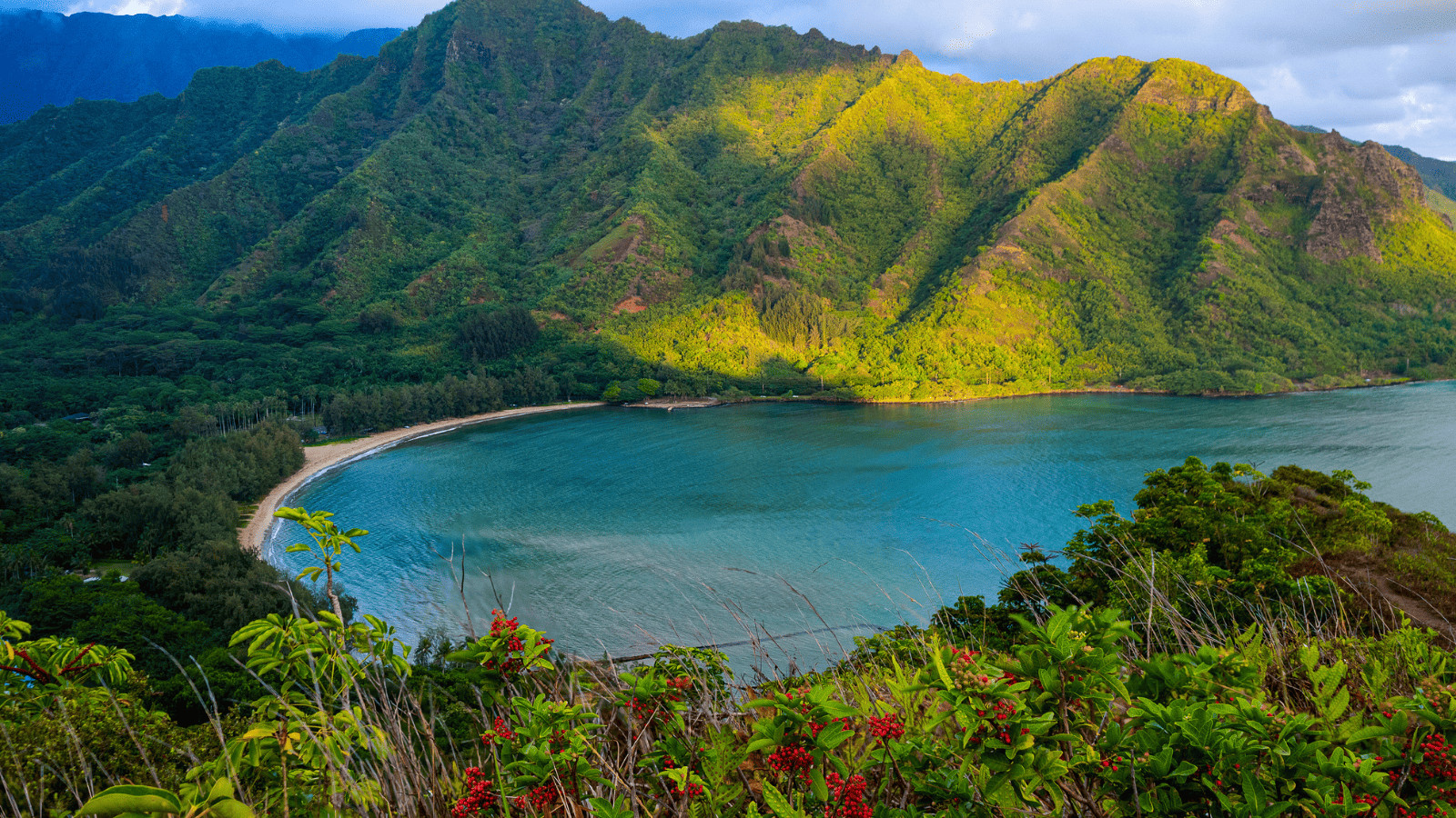 Travel Together: Top 10 Destinations for Multi-Generational Families 8 Honolulu Hawaii