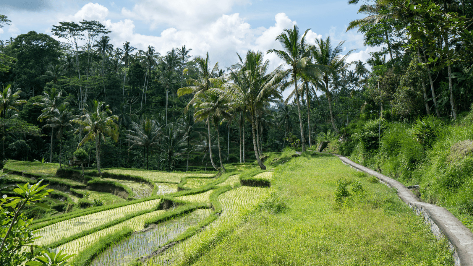 Exotic Escapes: 10 Destinations Offering Luxury Without the Price Tag! 6 Indonesia
