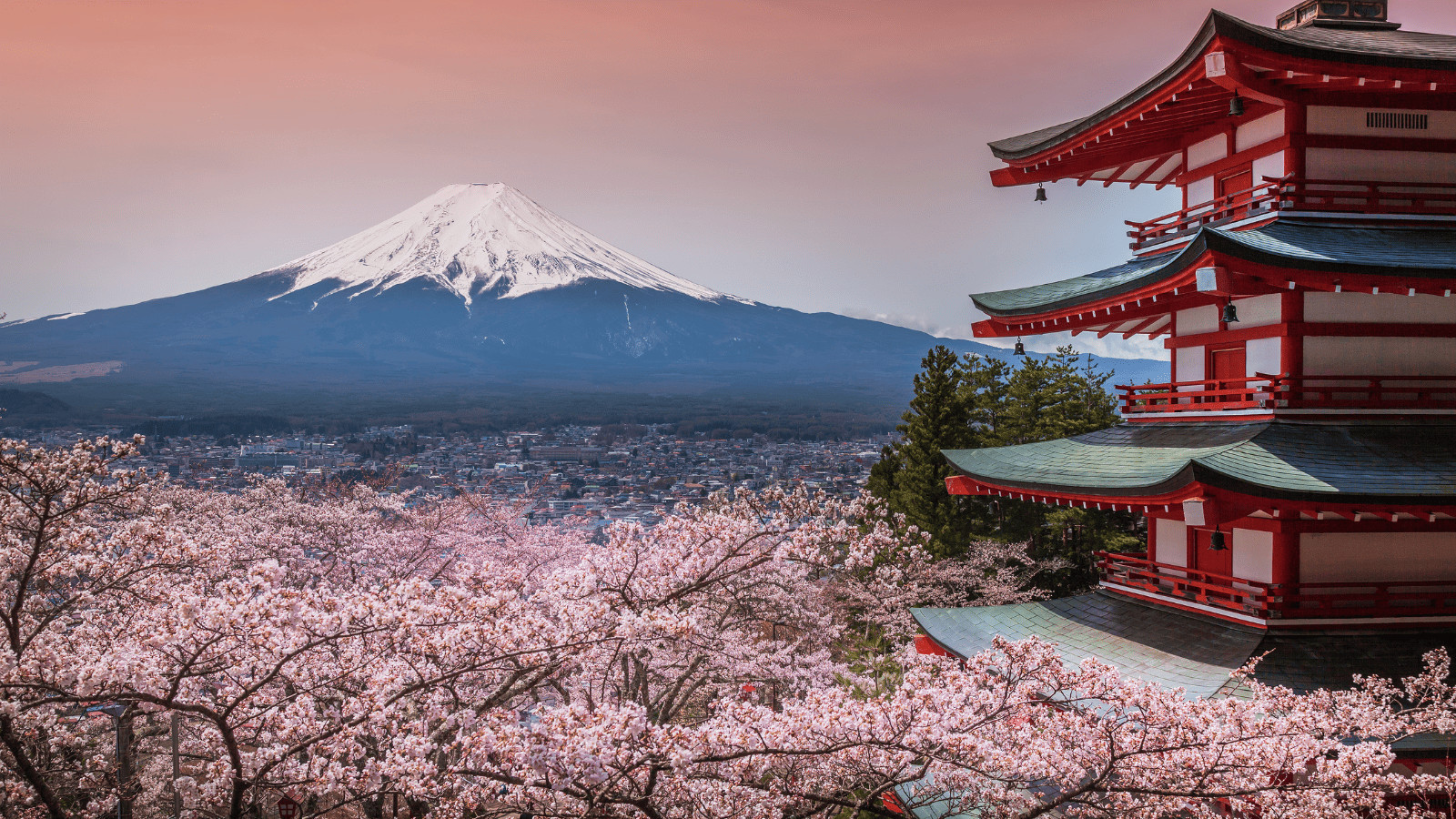 Japan 2