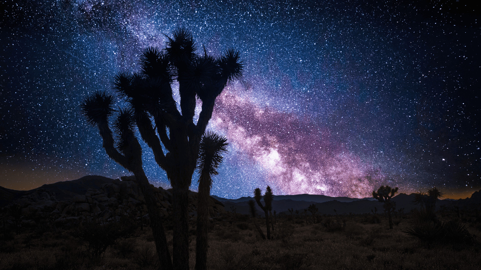 Dark Sky Sanctuaries: The Best Stargazing Spots in the US