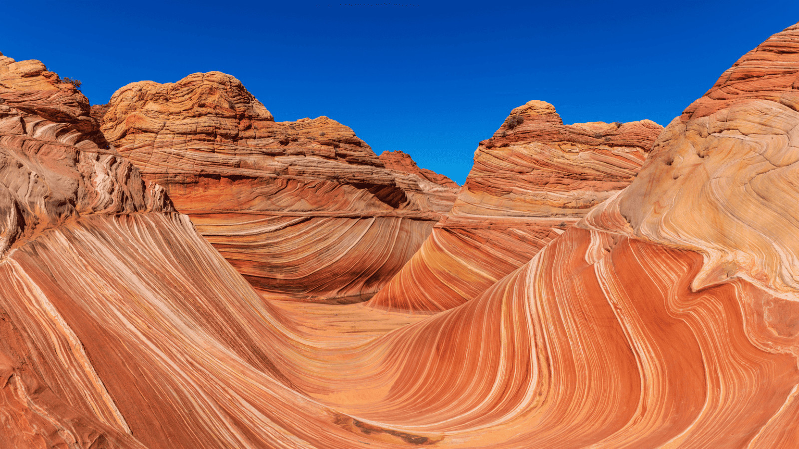 Unleash the Fun: 10 Pawsome Pet-Friendly US Vacation Spots! 1 Kanab Utah