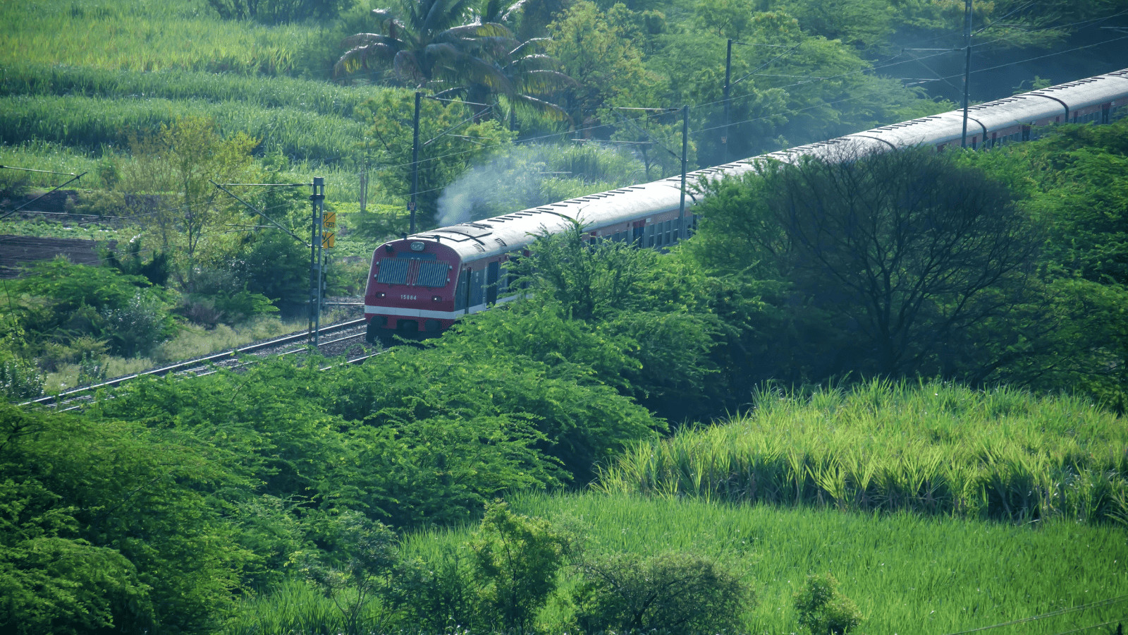 Epic Railway Adventures: The Top 10 Train Journeys You Can't Miss 9 Maharajas