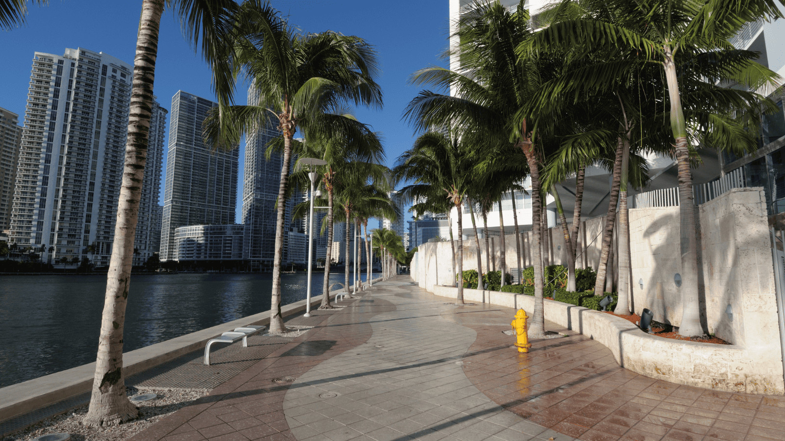 The 10 Best US Destinations for Riding eBikes 9 Miami, Florida