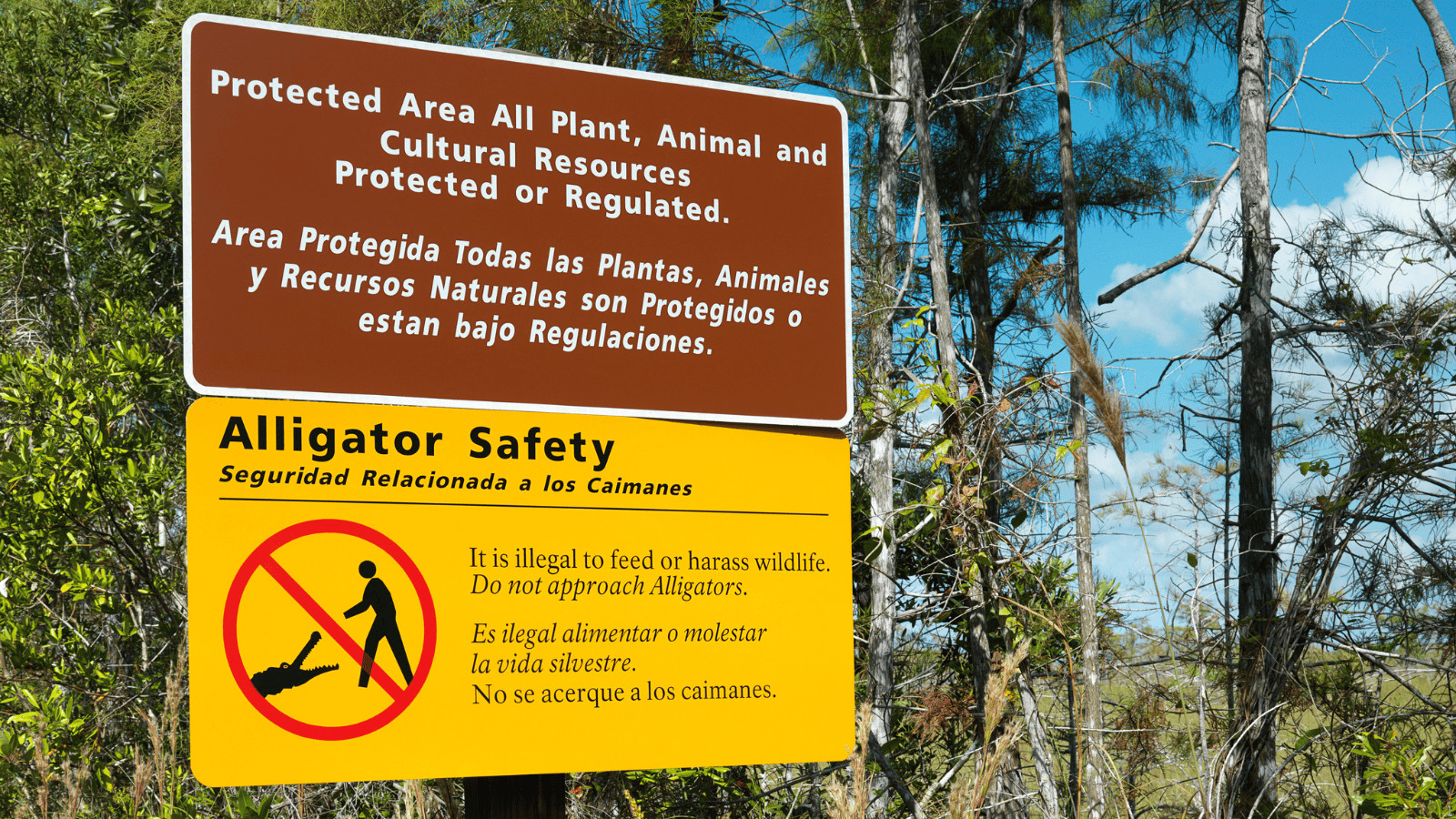 National Park Safety Precautions