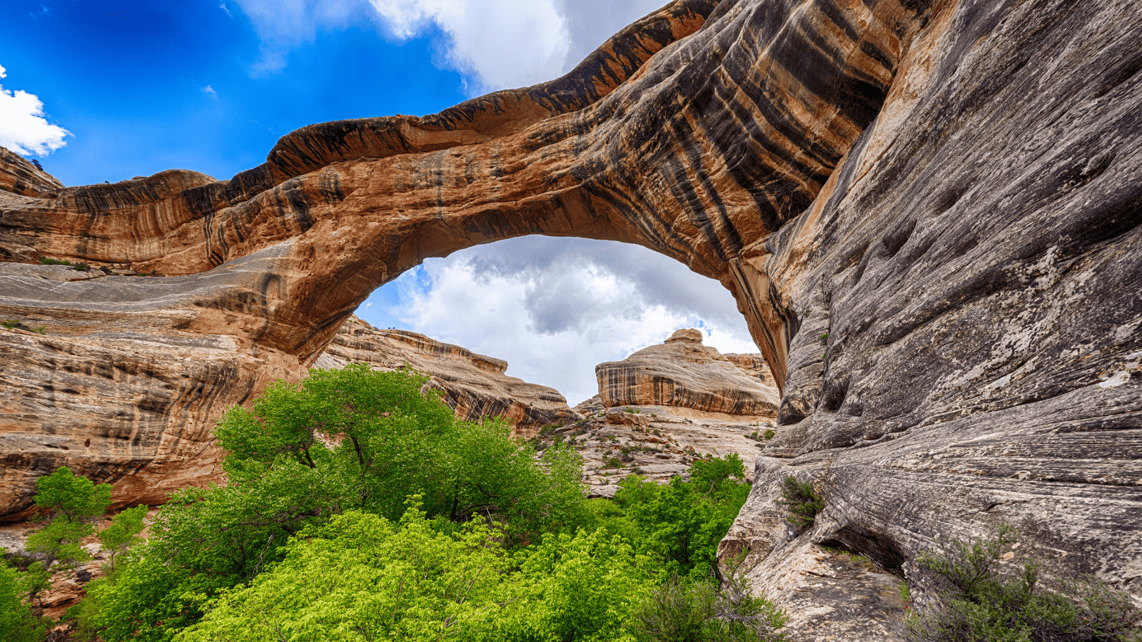 13 Jaw-Dropping National Monuments That Define American Beauty 10 Natural Bridges National Monument