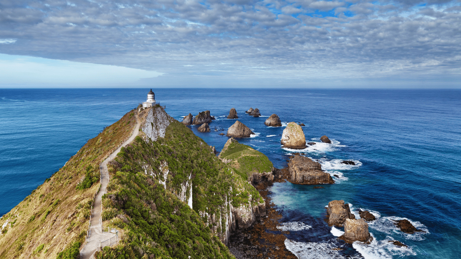 New Zealand 1