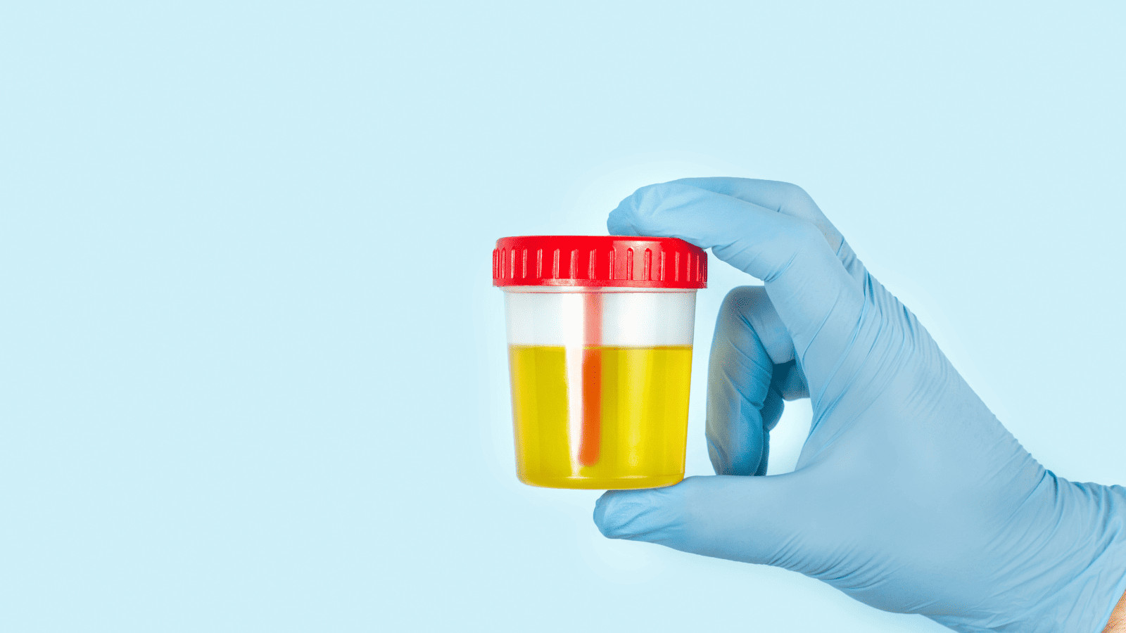 Survival Myths Debunked: Don't Fall for These Deadly Delusions! 7 Pee