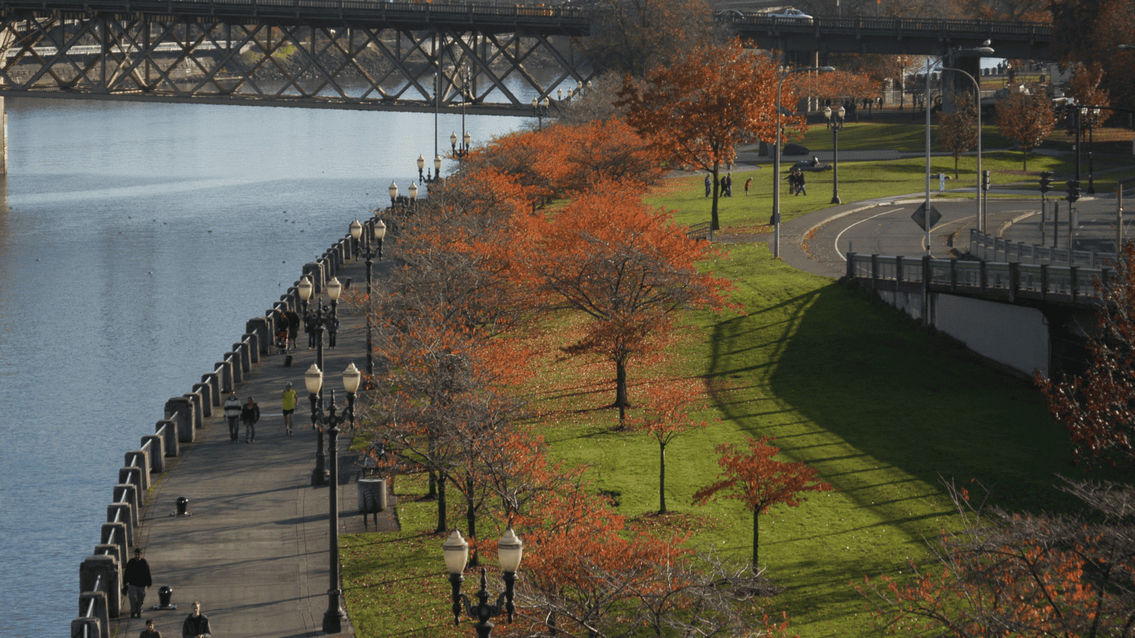 12 Unmissable US Cities for Breathtaking Fall Foliage 2 Portland, Oregon