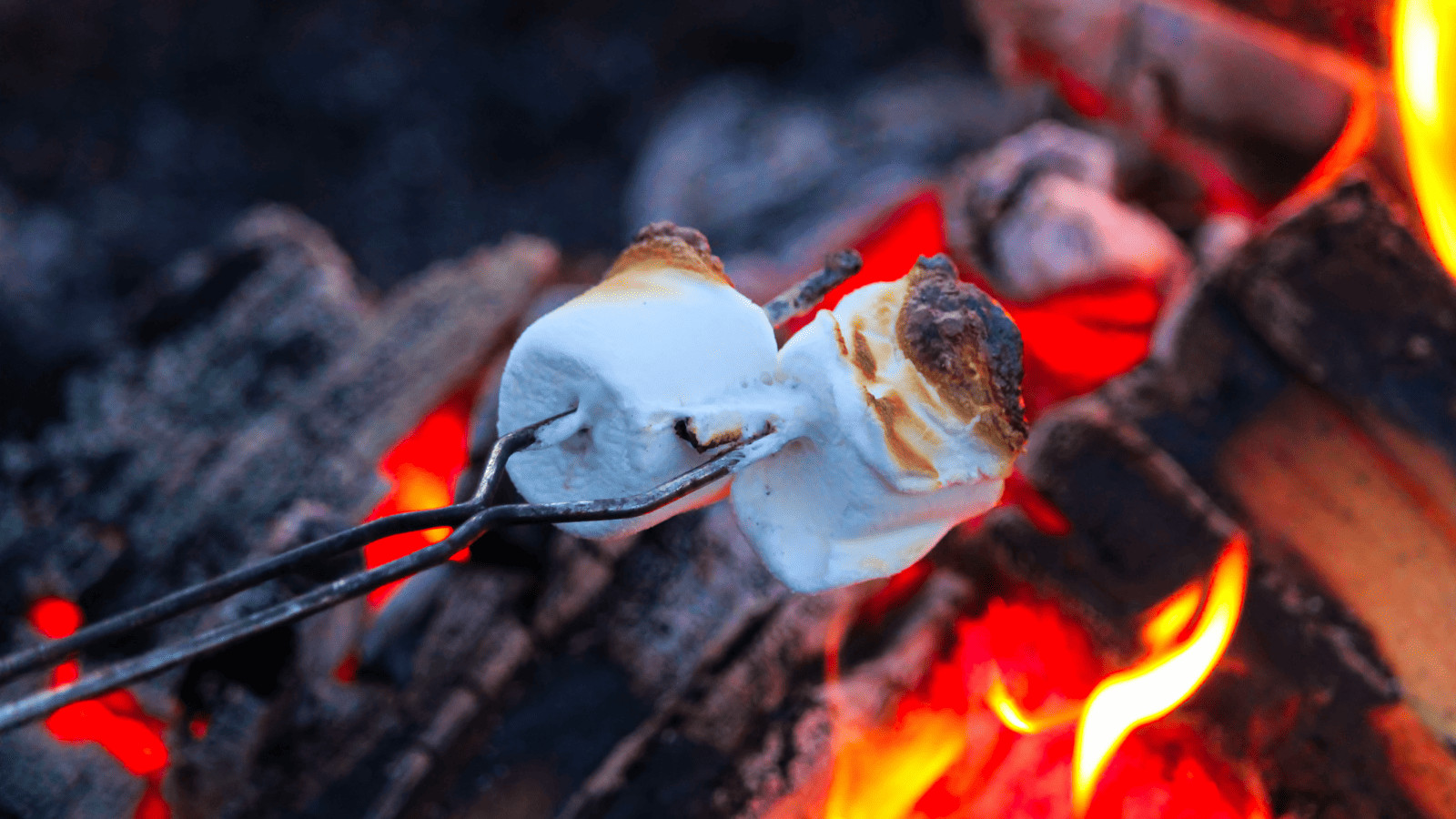 Roasting Sticks