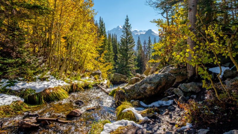 An Ultimate Guide to the Rocky Mountain National Park