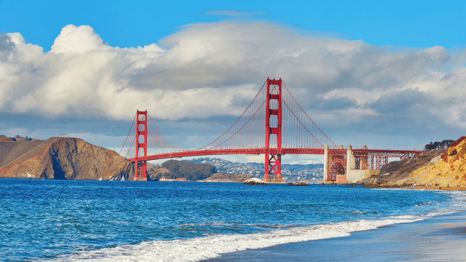 Unleash the Fun: 10 Pawsome Pet-Friendly US Vacation Spots! 8 San Francisco California