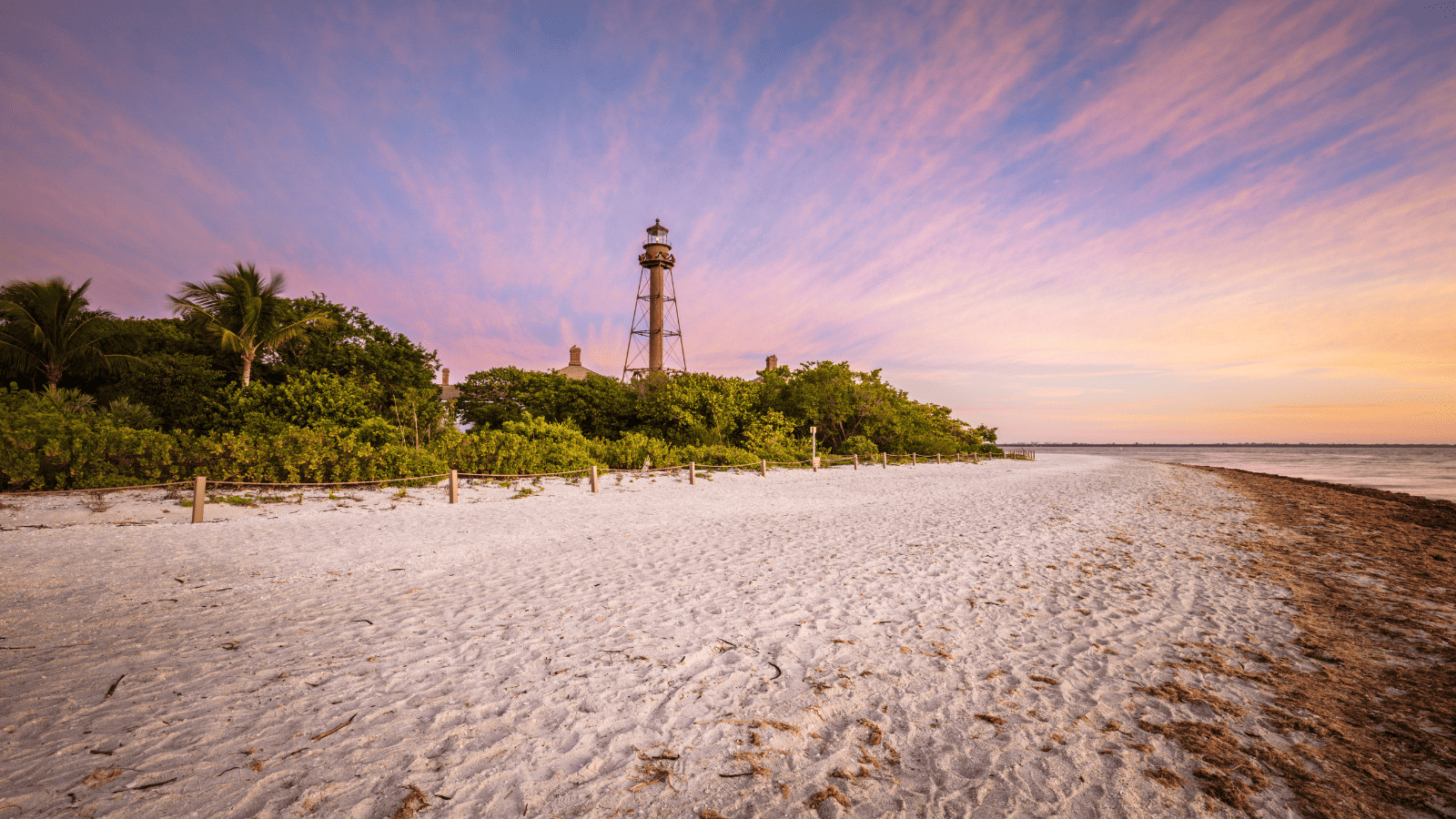 Unleash the Fun: 10 Pawsome Pet-Friendly US Vacation Spots! 2 Sanibel Island Florida