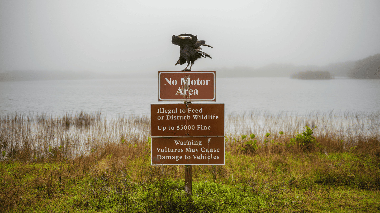 How To Stay Safe When Visiting National Parks 8 Signs in National Parks