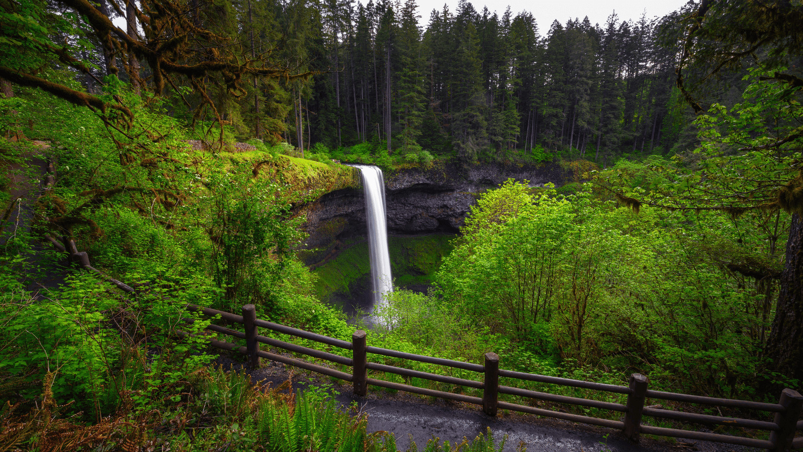 Under the Radar: 10 Underrated State Parks to Visit this Summer 6 Silver Falls State Park