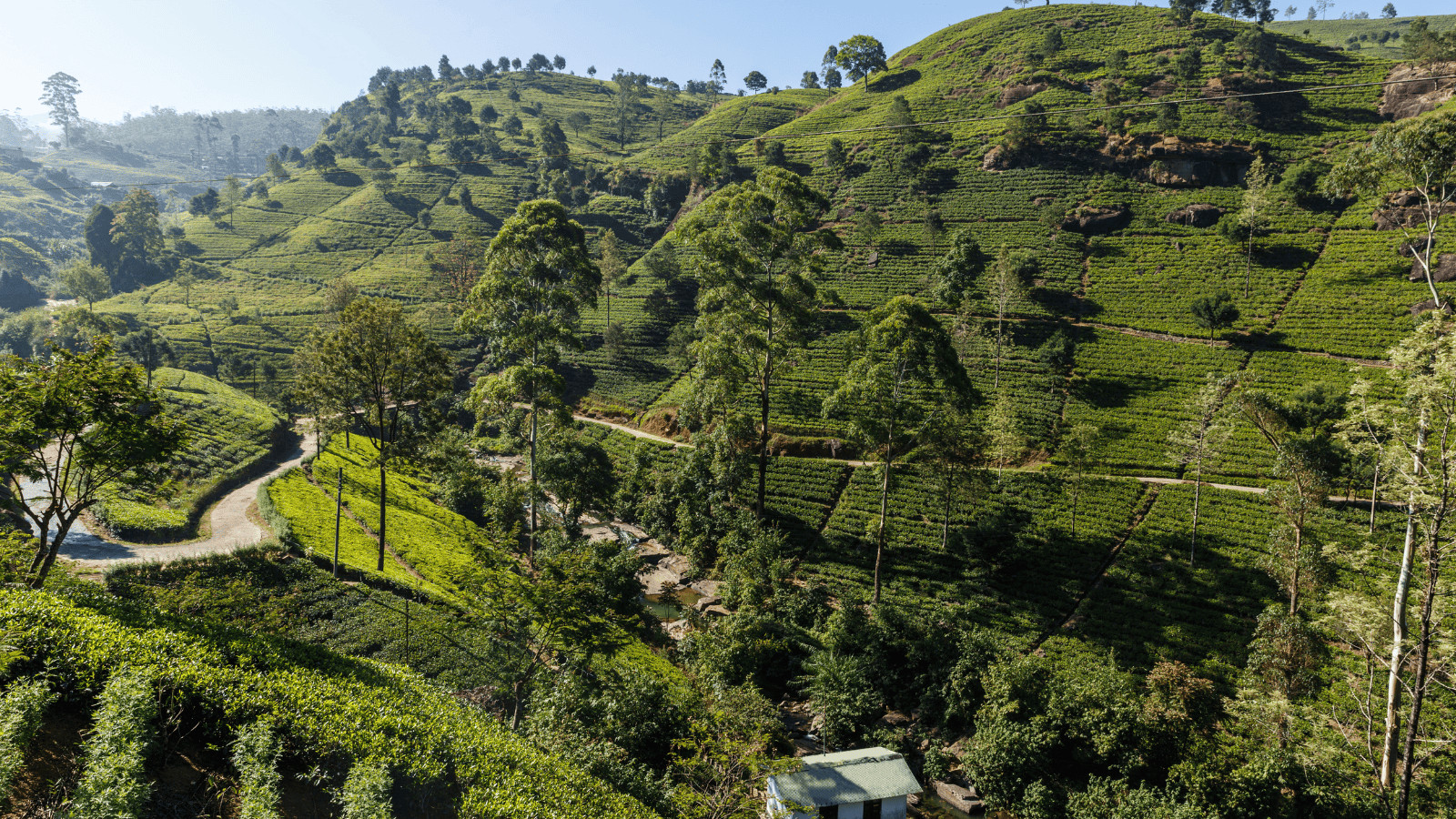 Sri Lanka 1