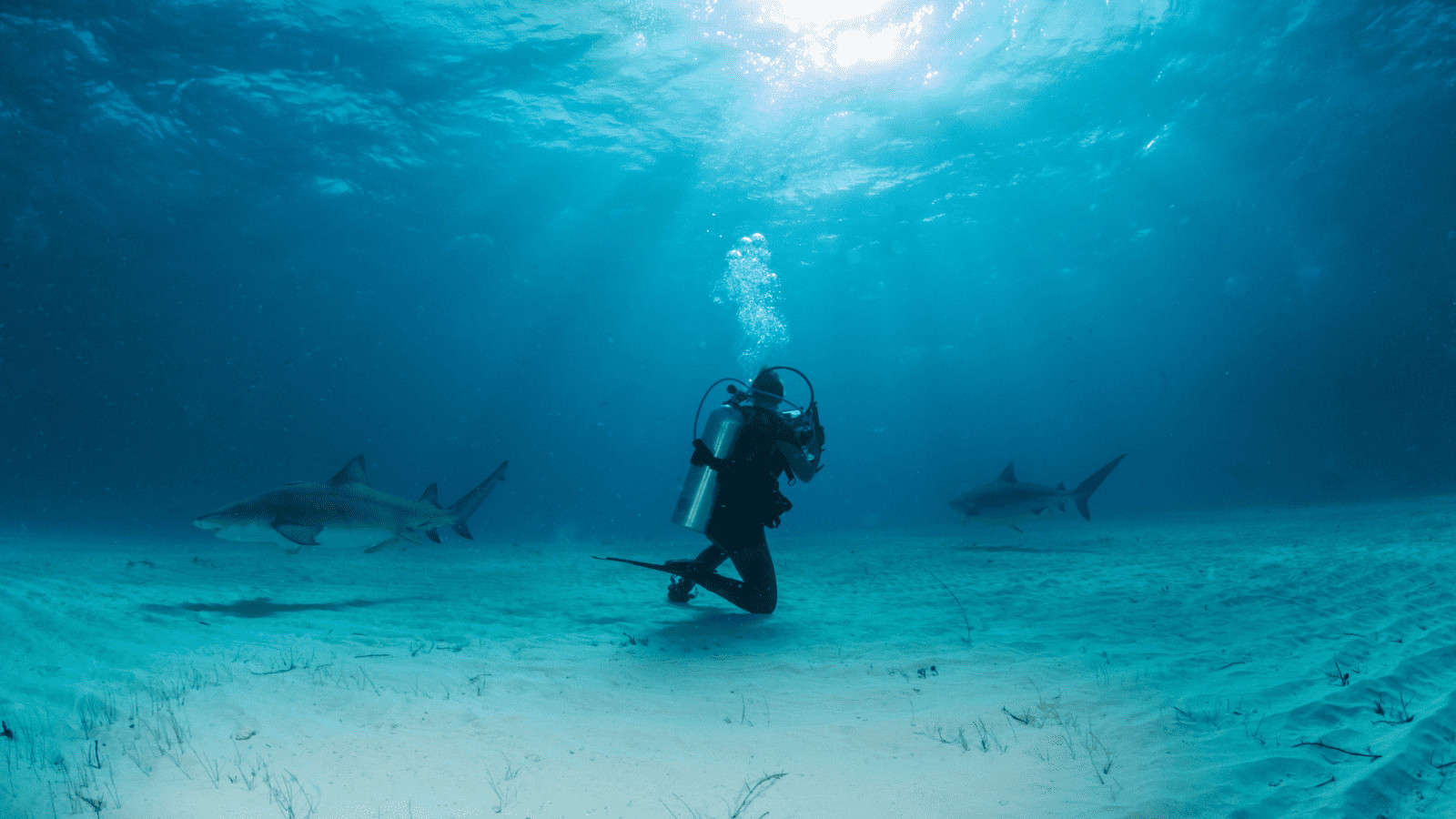 The 11 Global Hotspots Every Water Sports Lover Needs to Visit 9 The Bahamas