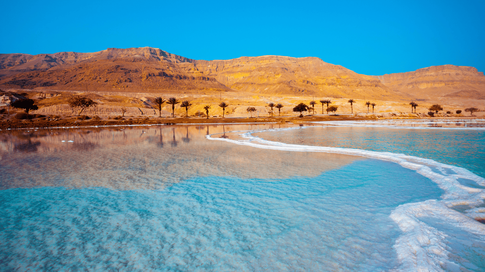The Dead Sea Israel
