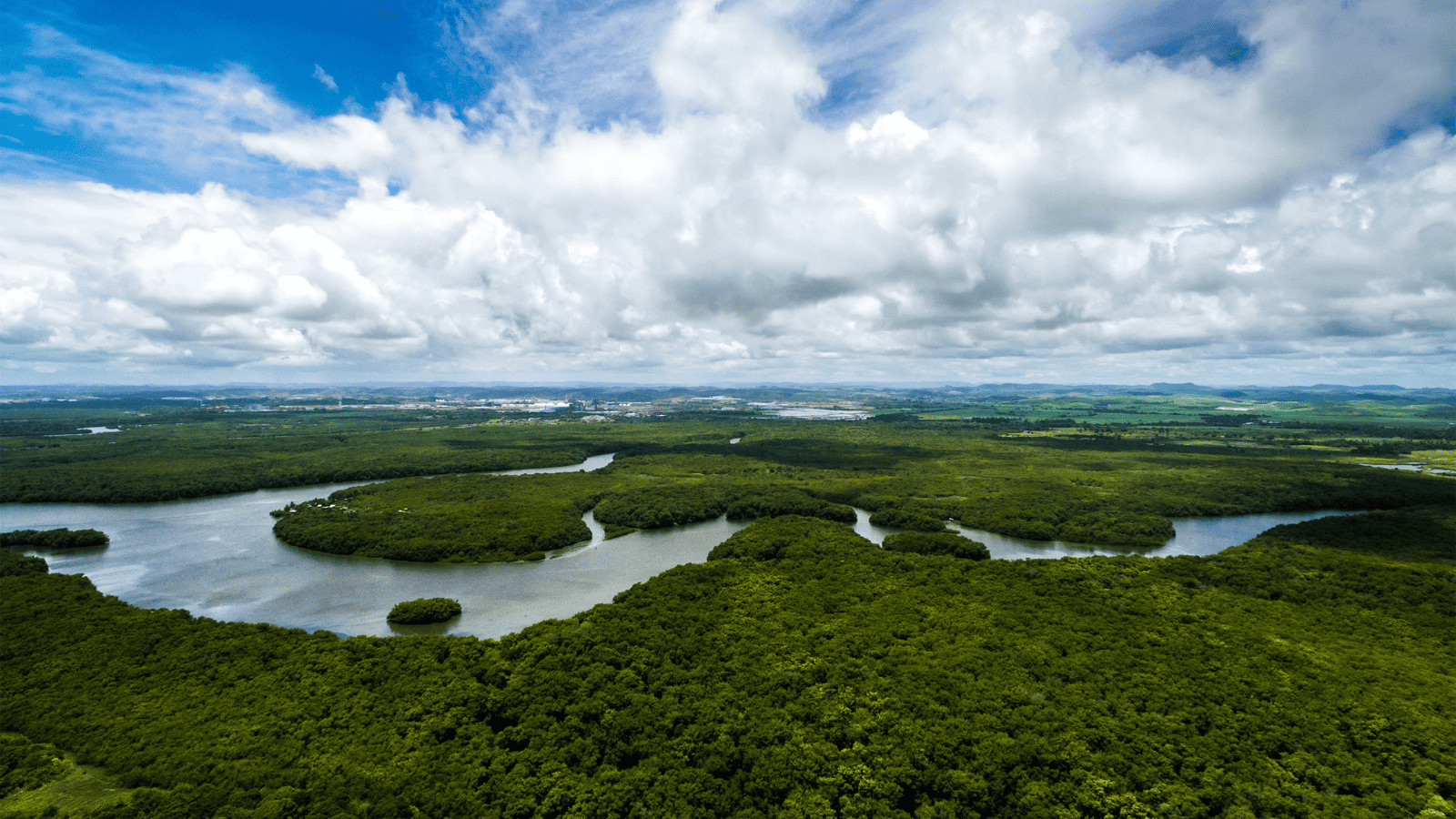 More Than the Bermuda Triangle: 7 Unsolved Travel Mysteries 3 The Lost City of Z