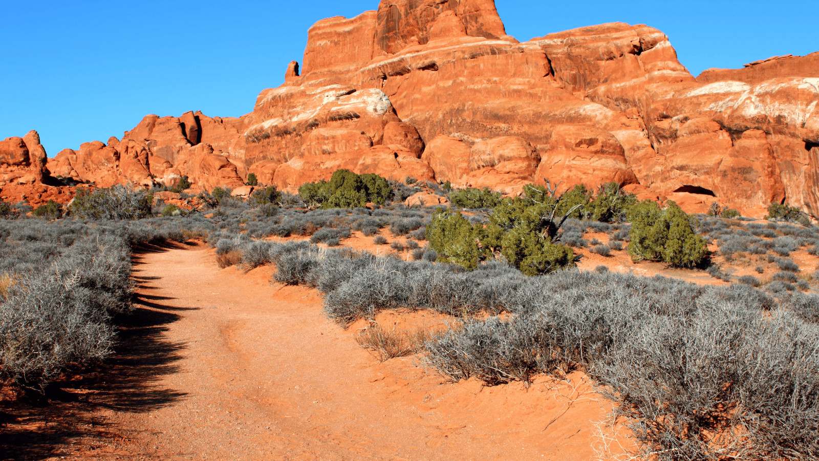 How To Stay Safe When Visiting National Parks 10 Trails in National Park
