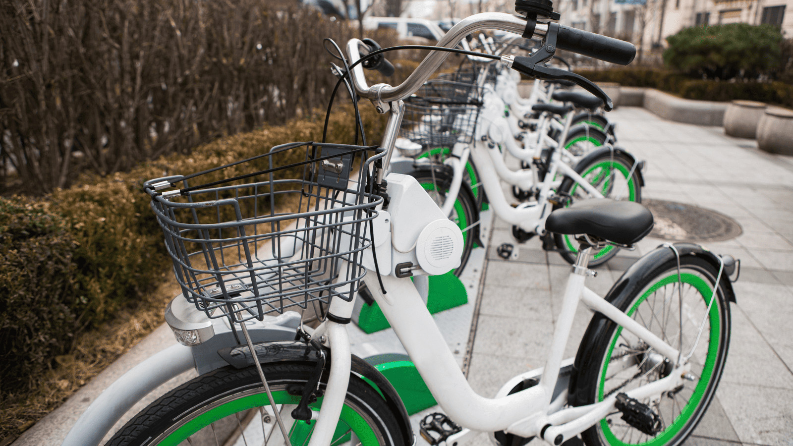Bike Rentals