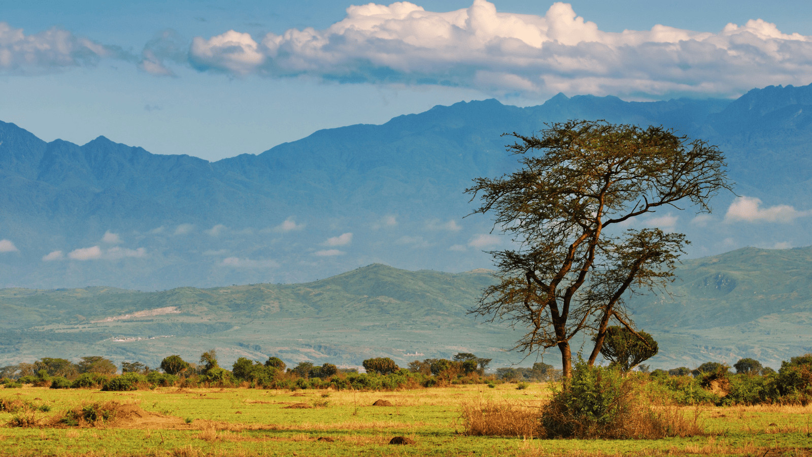 Uganda