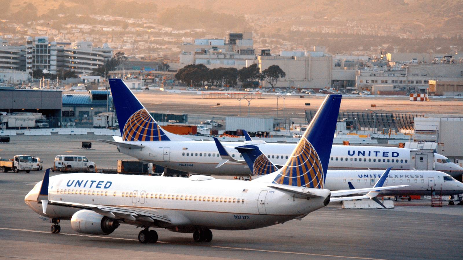 Flying with Fido? 10 Tips for Air Travel With Pets 1 United Airlines