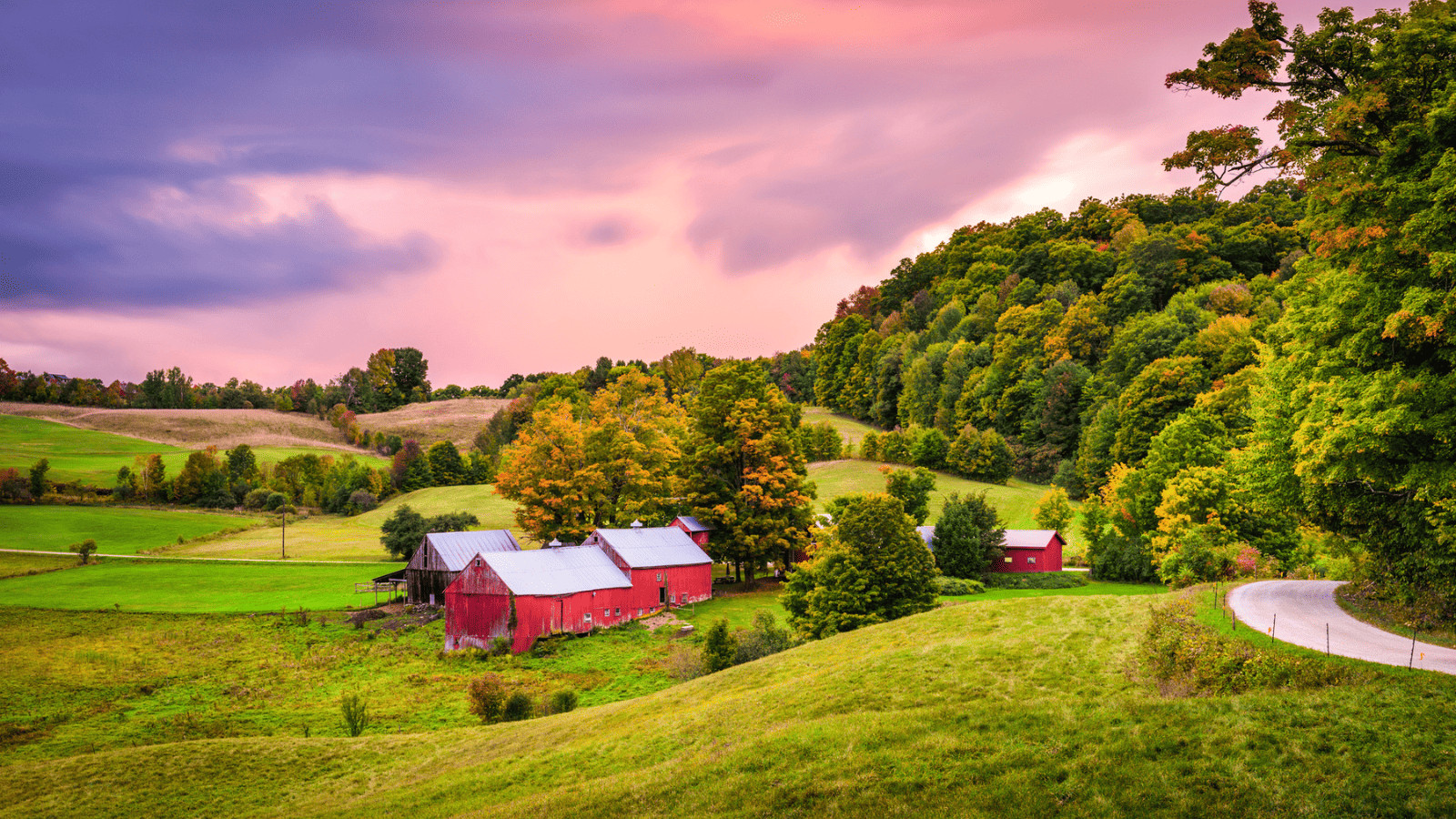 Unleash the Fun: 10 Pawsome Pet-Friendly US Vacation Spots! 7 Vermont