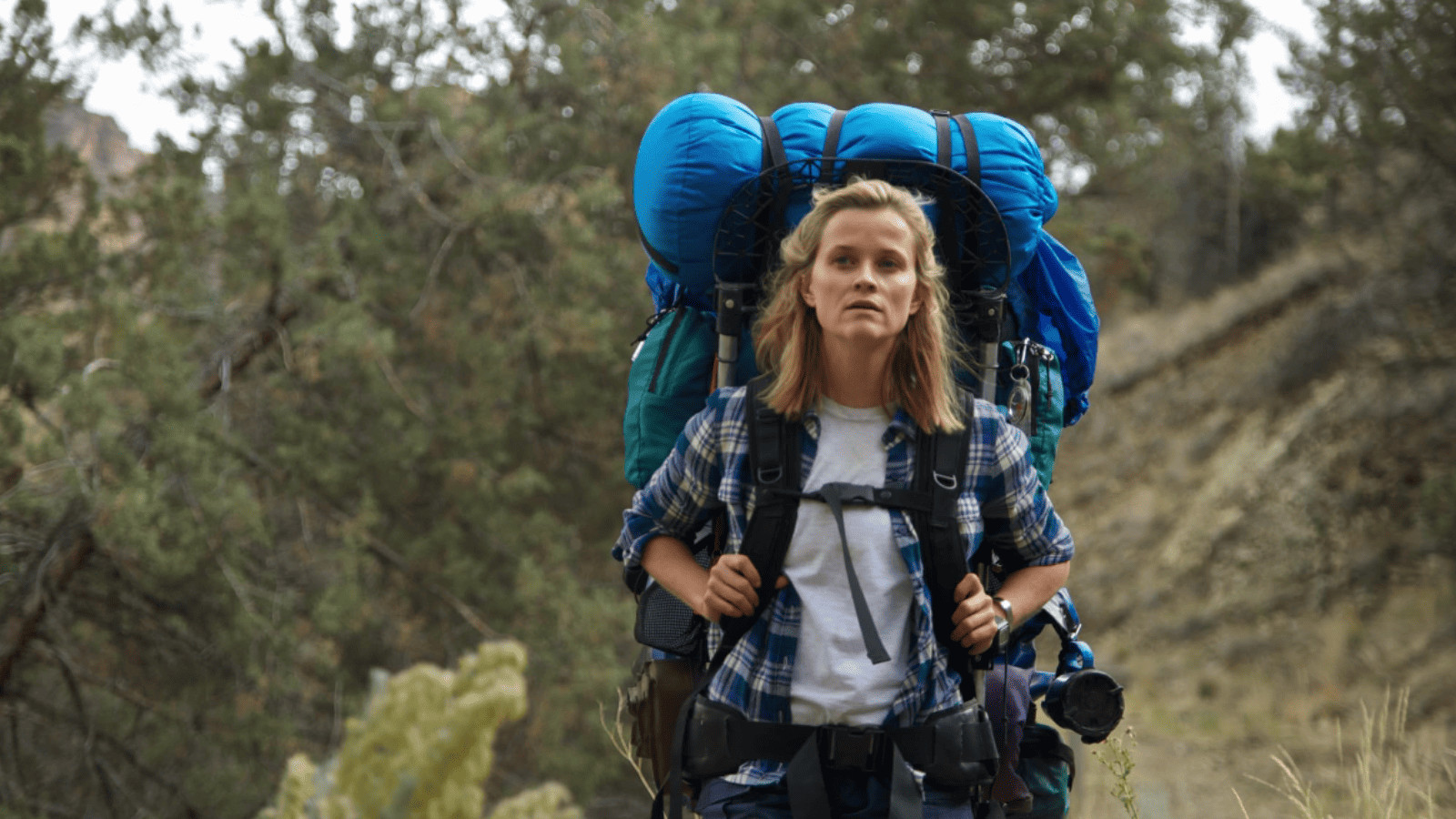 15 Epic Movies That Will Ignite Your Wanderlust 3 Wild