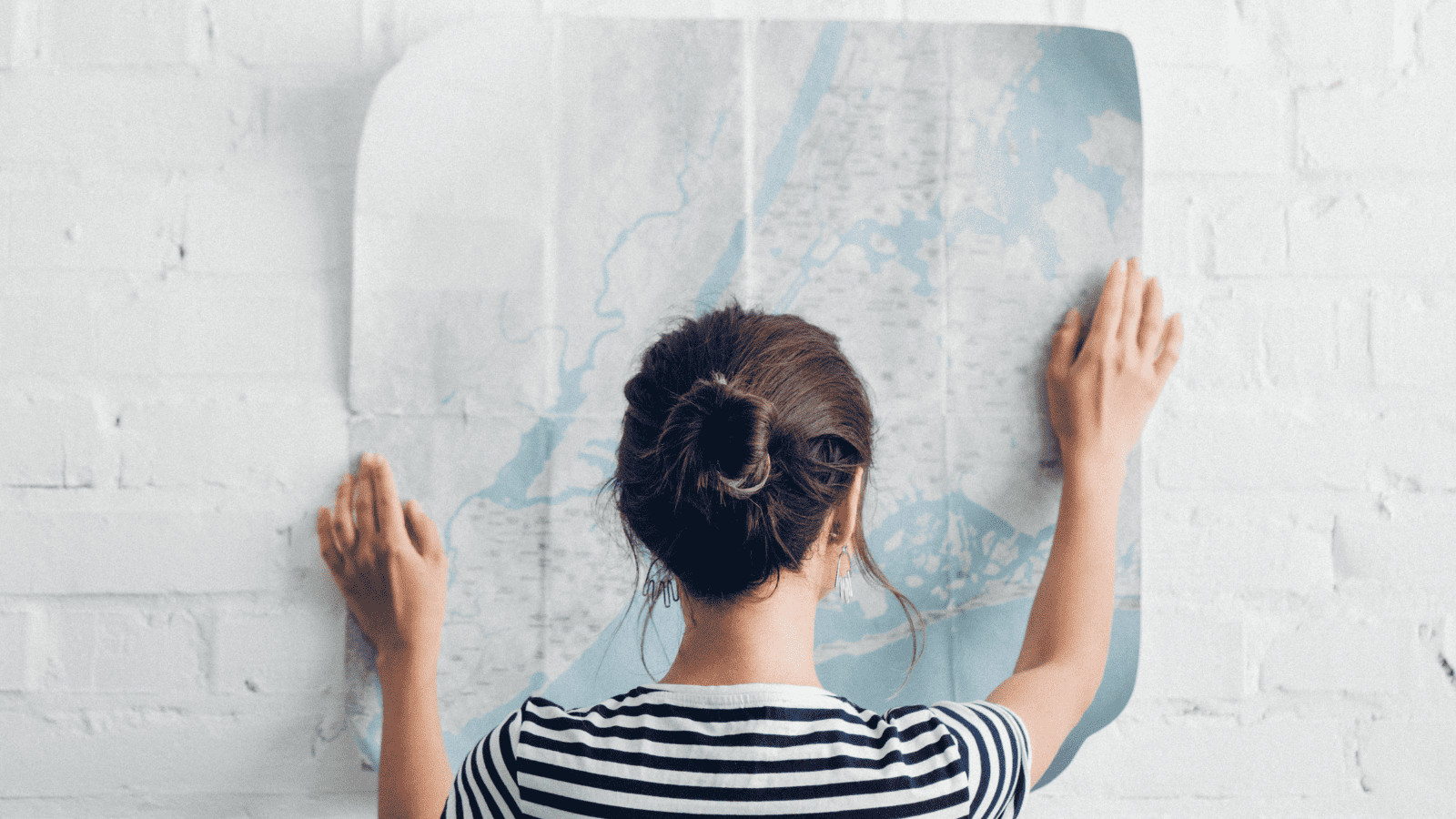 Flying with Fido? 10 Tips for Air Travel With Pets 2 Woman Planning Trip