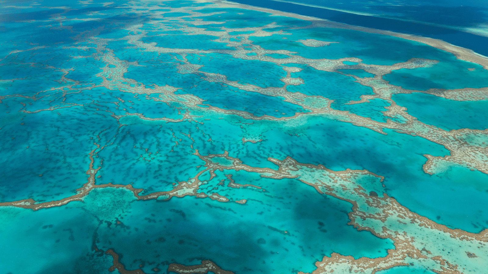The Top 14 Countries Where Nature Reigns Supreme! 1 Australia 1
