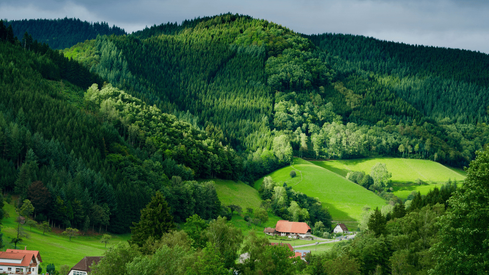 Europe's Hidden Treasures: Unveiling the Continent's Best-Kept Secrets 3 Black Forest Germany