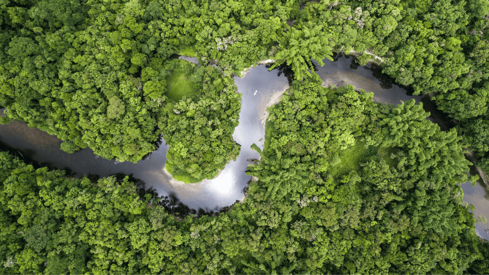 The Top 14 Countries Where Nature Reigns Supreme! 2 Brazil 1