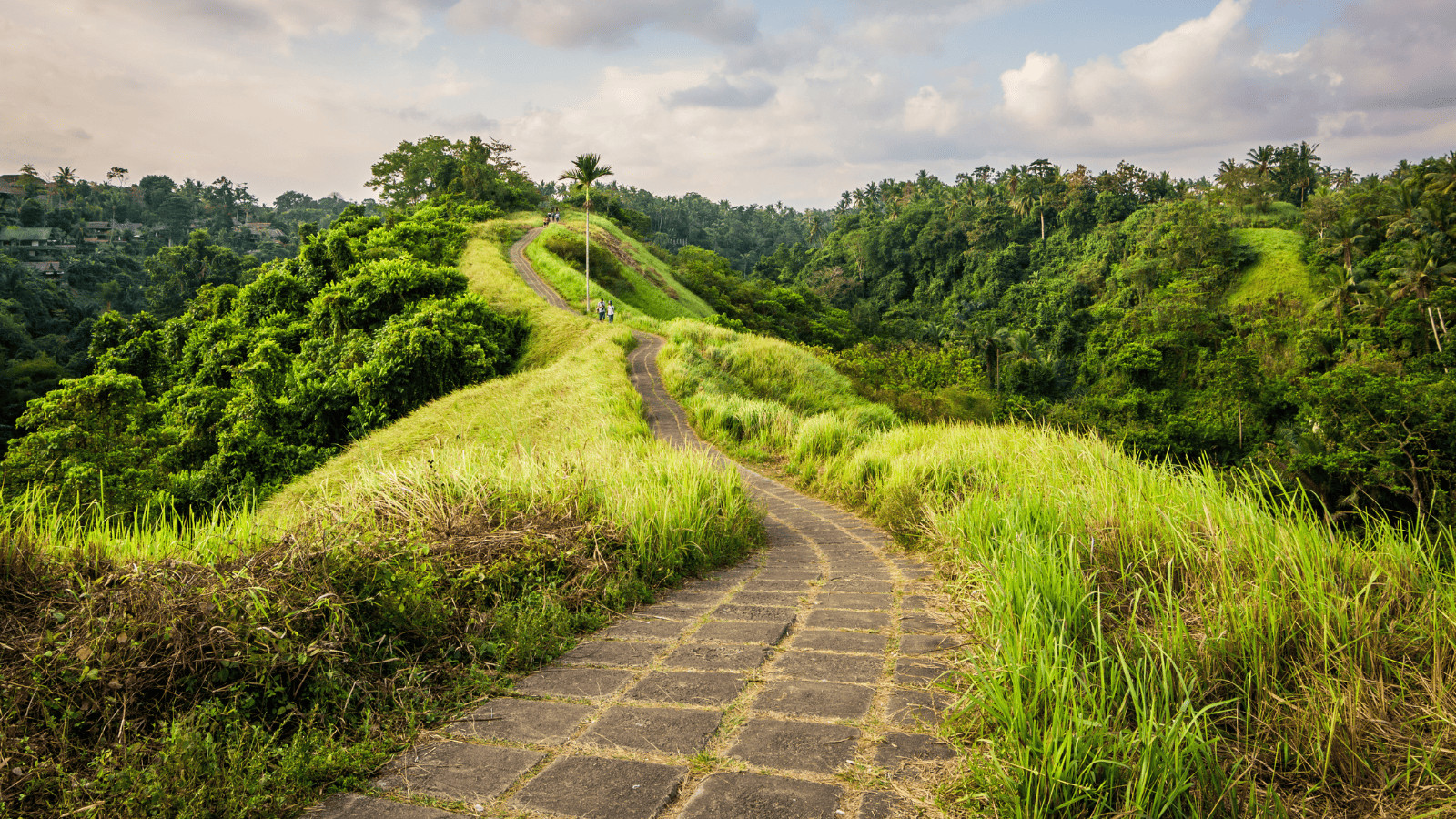 Bali Bound: 16 Must-Visit Places in Bali, Indonesia 3 Campuhan Ridge Walk Ubud