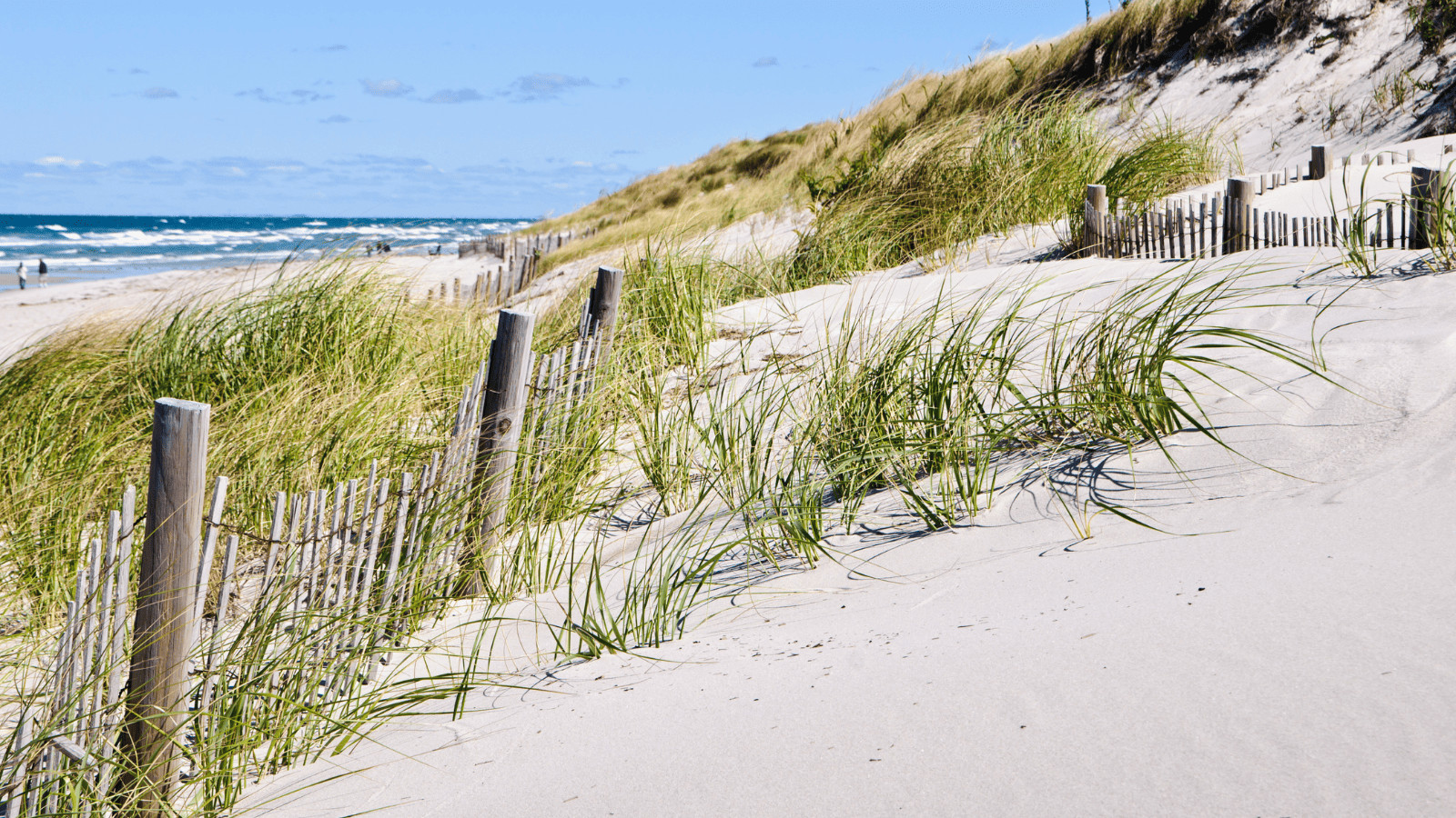 11 of the Best Beach Getaways in the US 2 Cape Cod Massachusetts 2