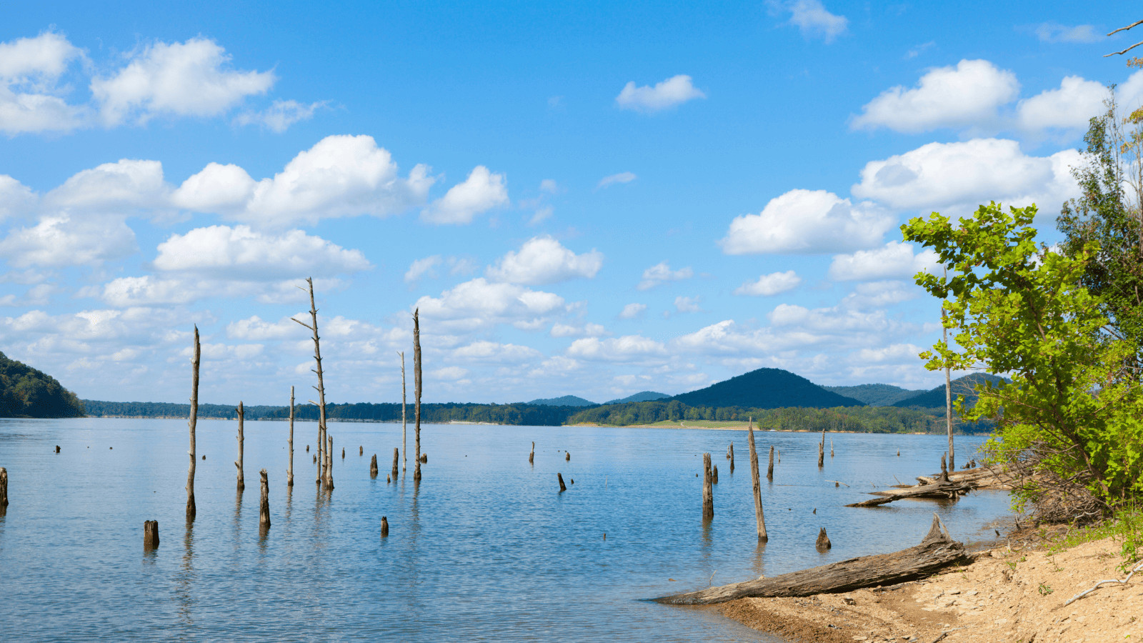 Best Lakes in Kentucky: Explore Bluegrass State’s Gems