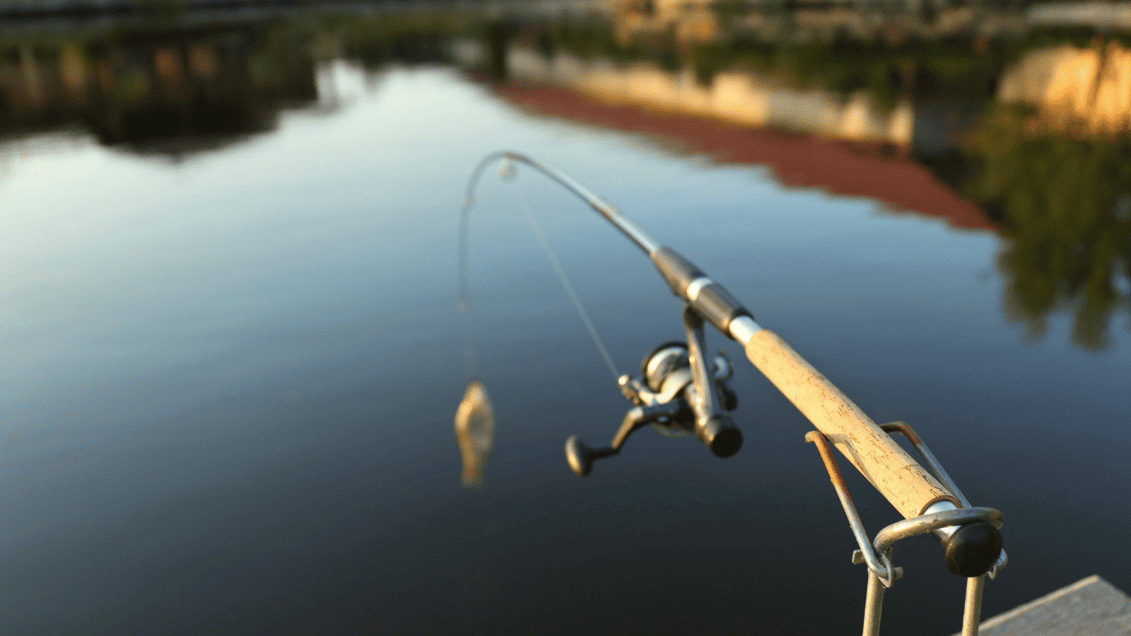 Lakes in Dallas: 15 Must-Visit Lakes for Your Next Vacation 13 Cedar Creek Lake
