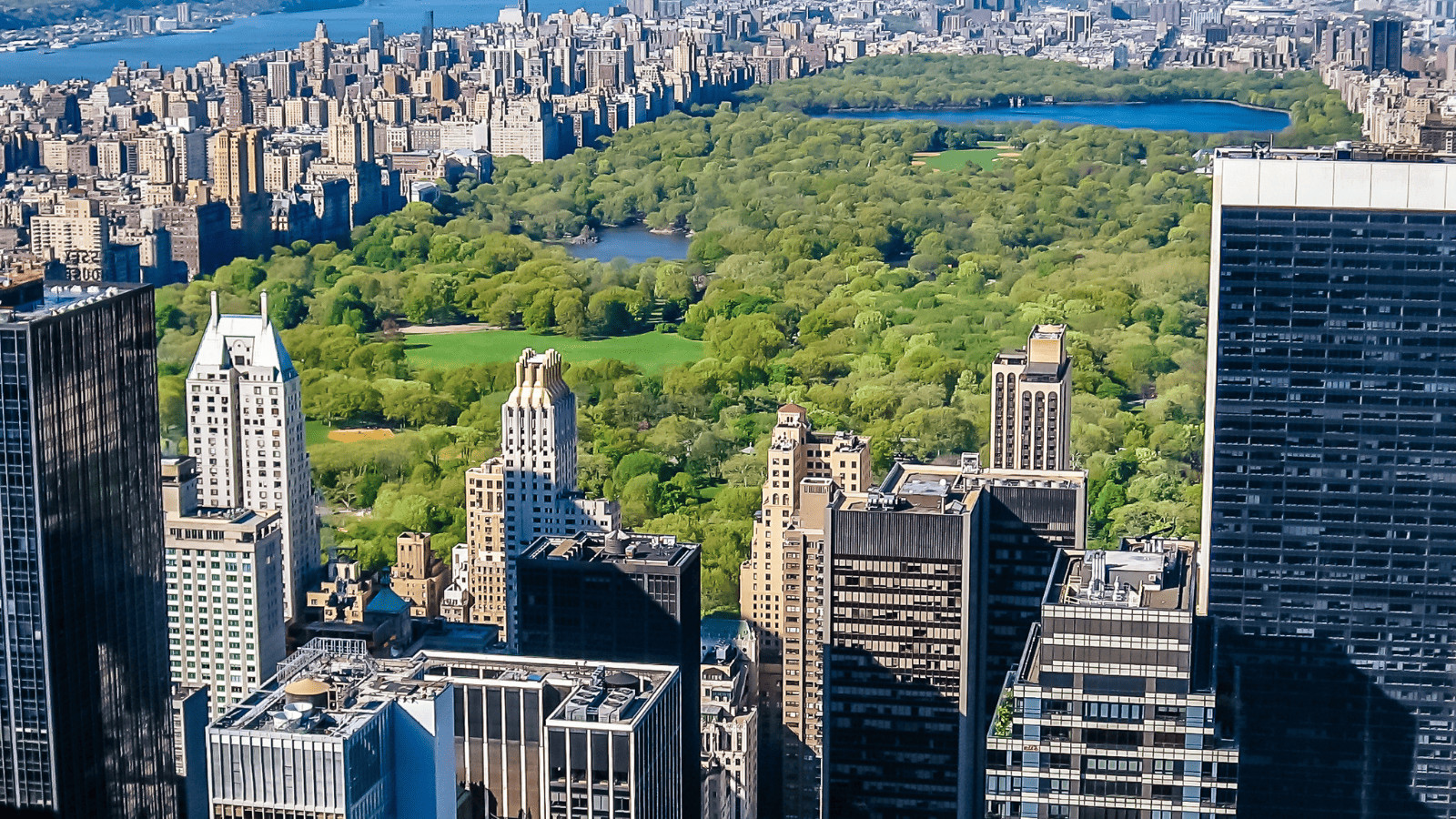 Big Apple, Small Budget: 14 Free Activities in New York City 4 Central Park