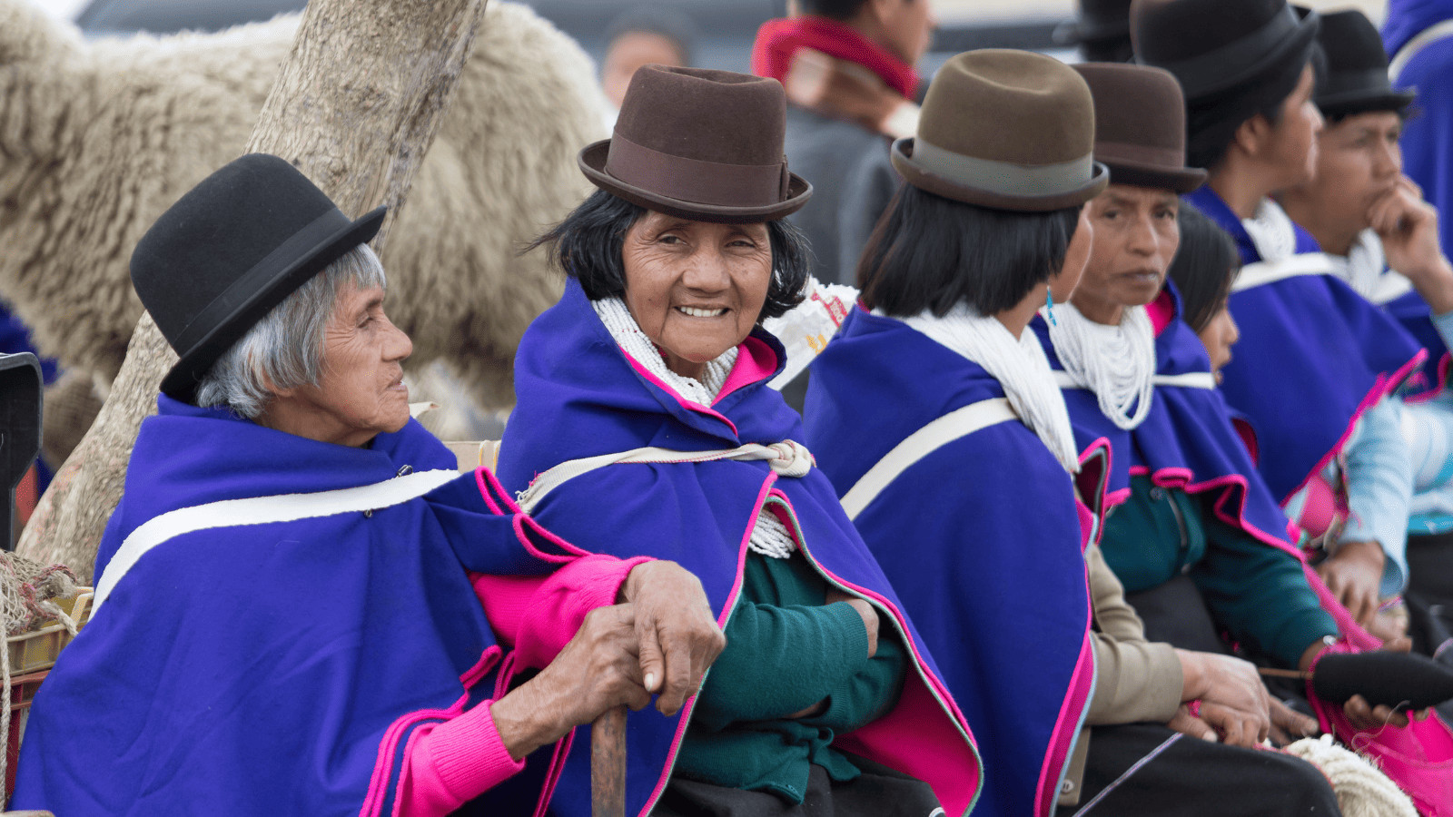 Connect with Indigenous Cultures