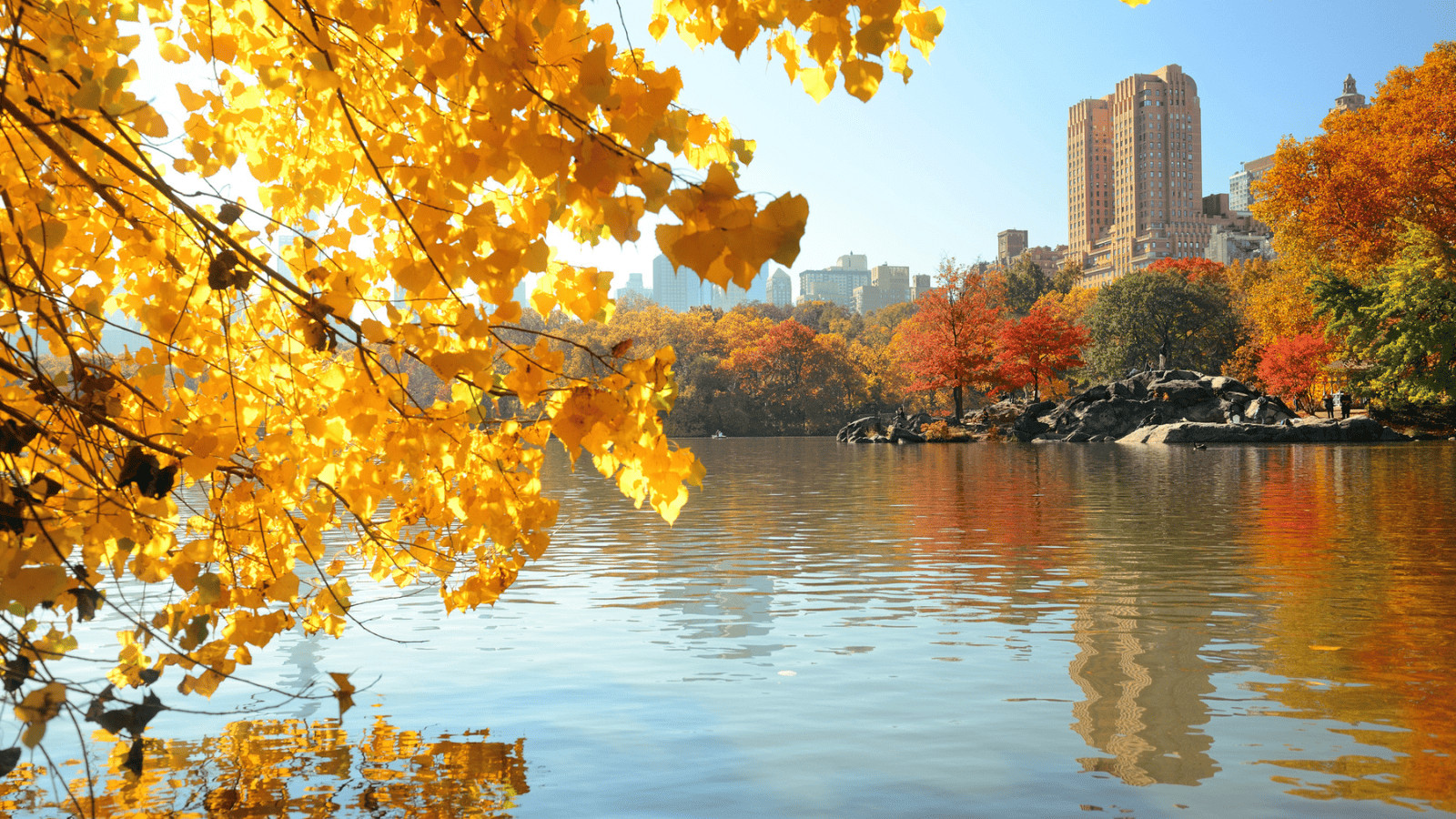 14 Must-Visit Cozy Fall Destinations for 2023 10 New York fall