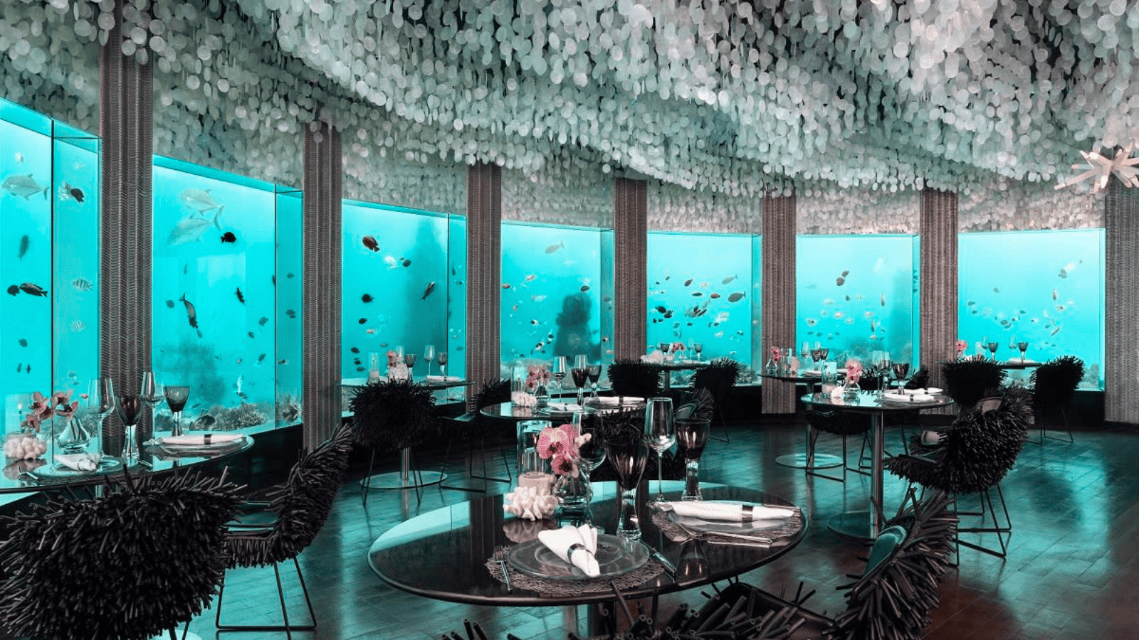 Sleep Beneath the Waves: Dive into the Top 10 Underwater Hotels 8 Niyama Private Islands