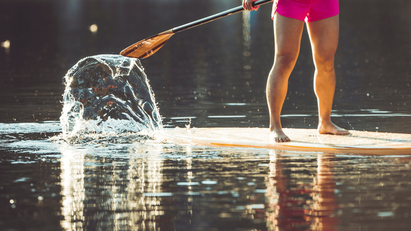 Stand up paddle board