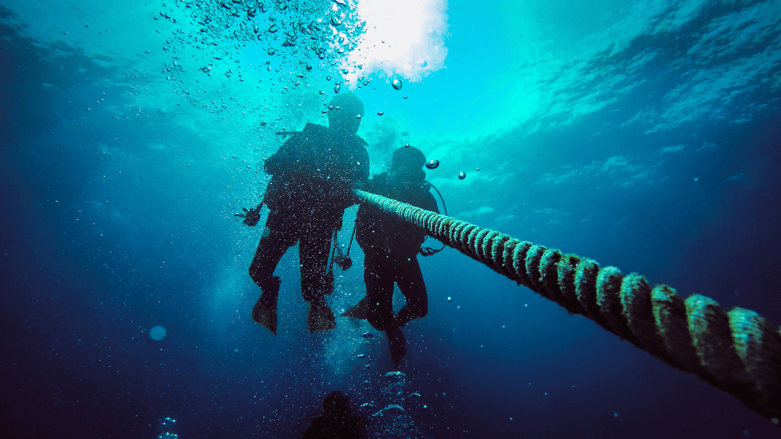 11 Must Visit Lakes in Utah: Uncover Breathtaking Scenery 6 Scuba diving