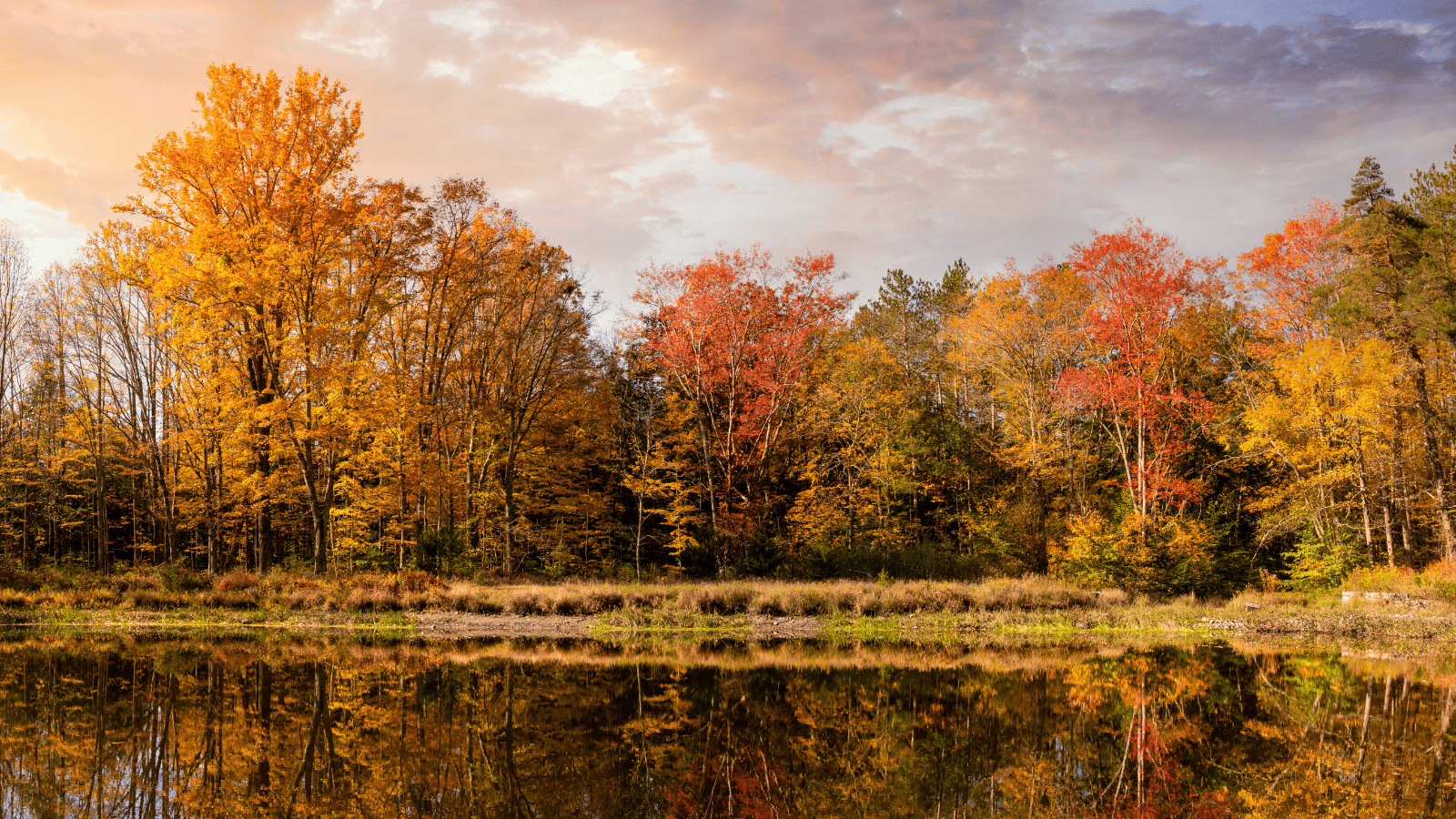 Lake during fall