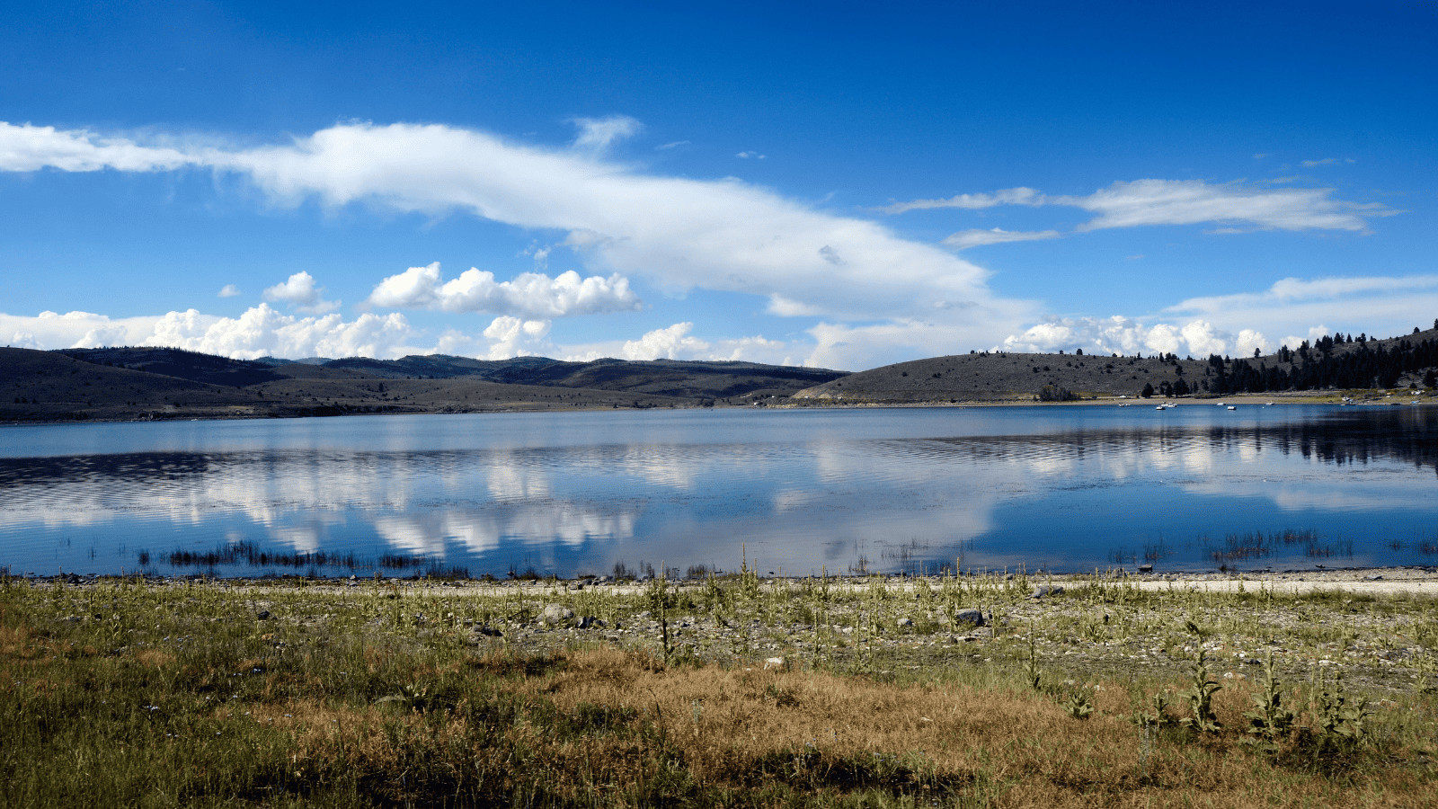 11 Must Visit Lakes in Utah: Uncover Breathtaking Scenery 7 Panguitch Lake, Utah