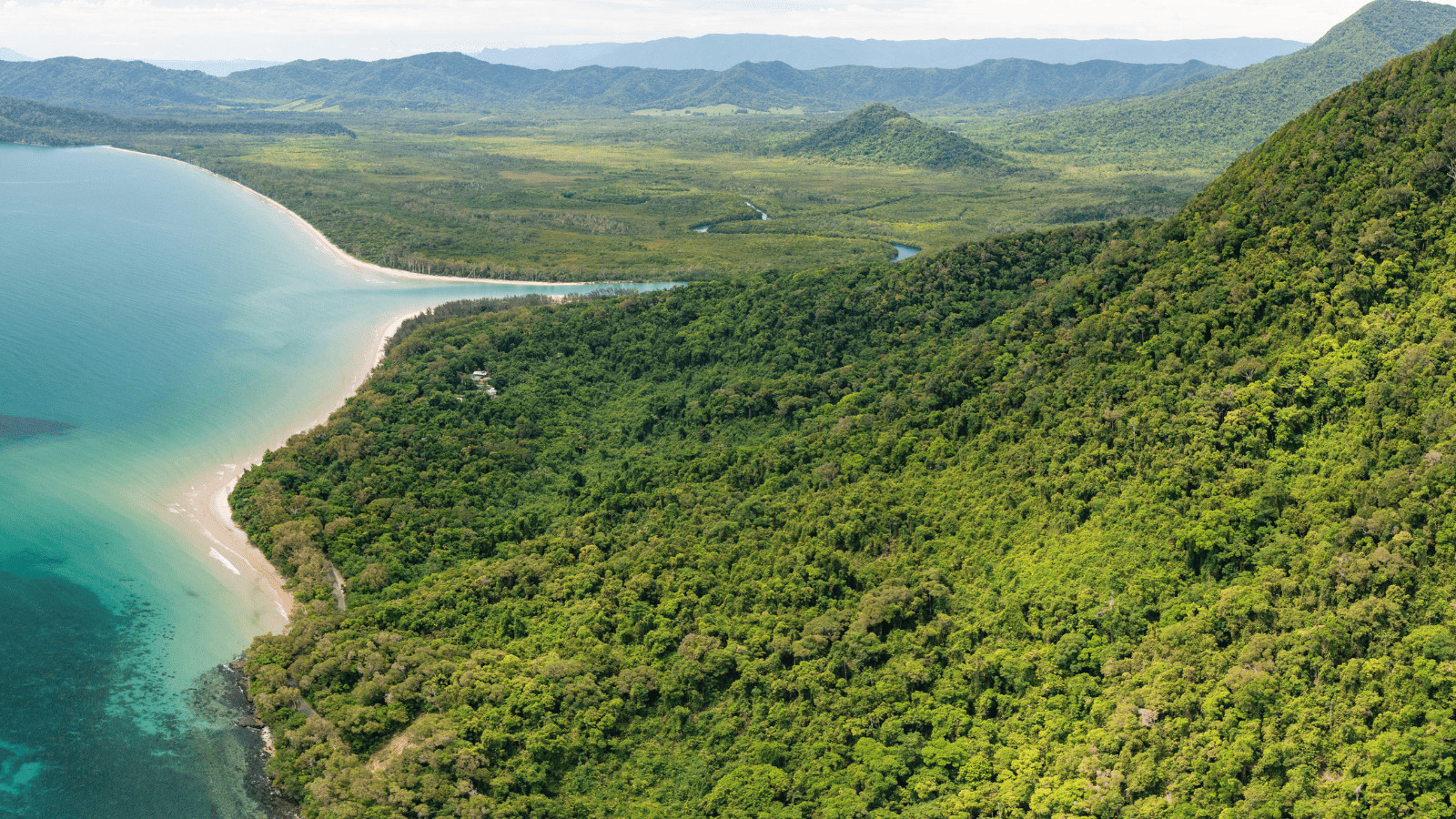 Embark on a Green Getaway: Exploring Forests Around the World 1 Daintree Rainforest, Australia - forests