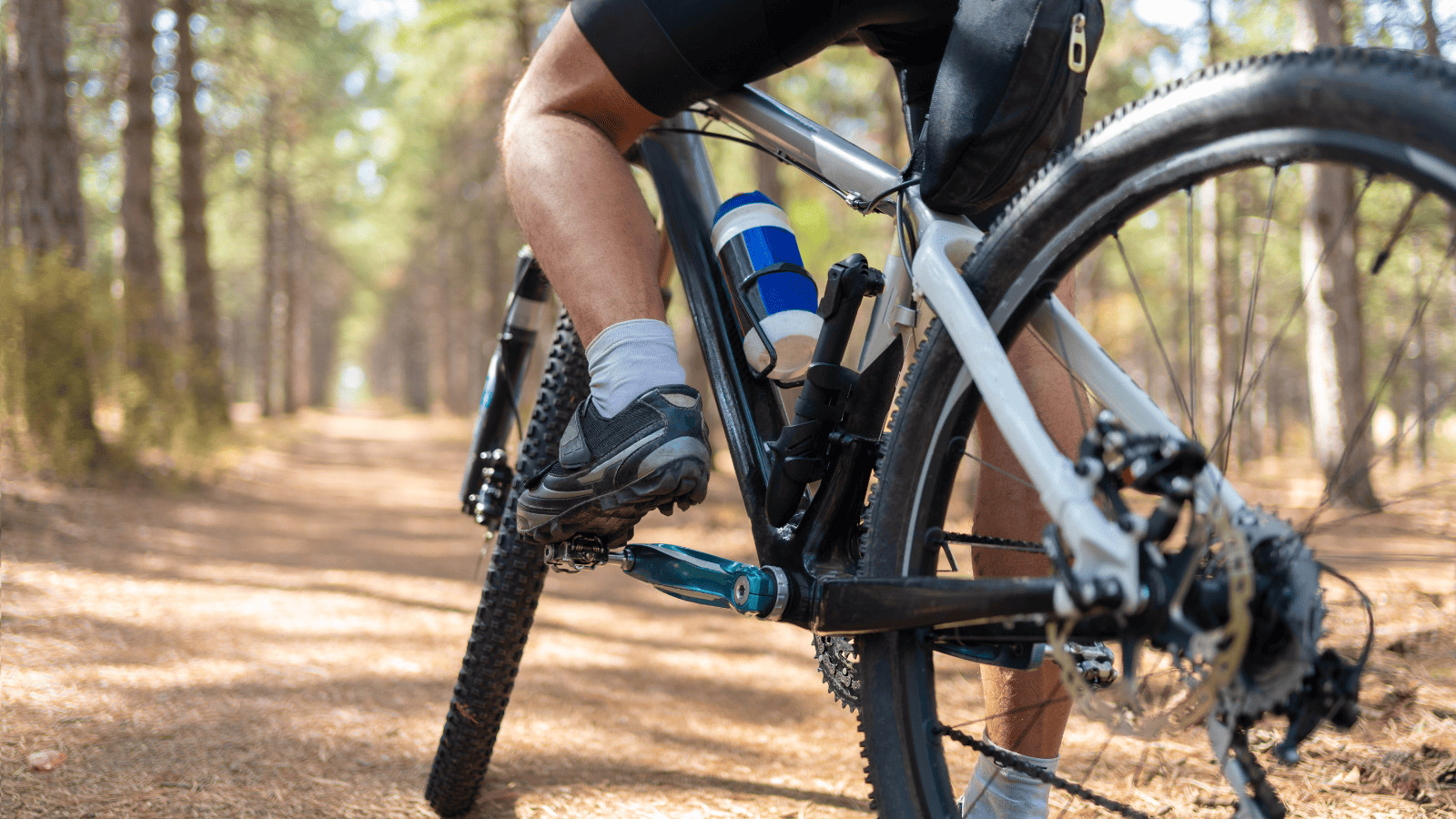 Lakes in North Dakota: Exploring 12 of the State's Best Kept Secrets 8 Bike on forest trail